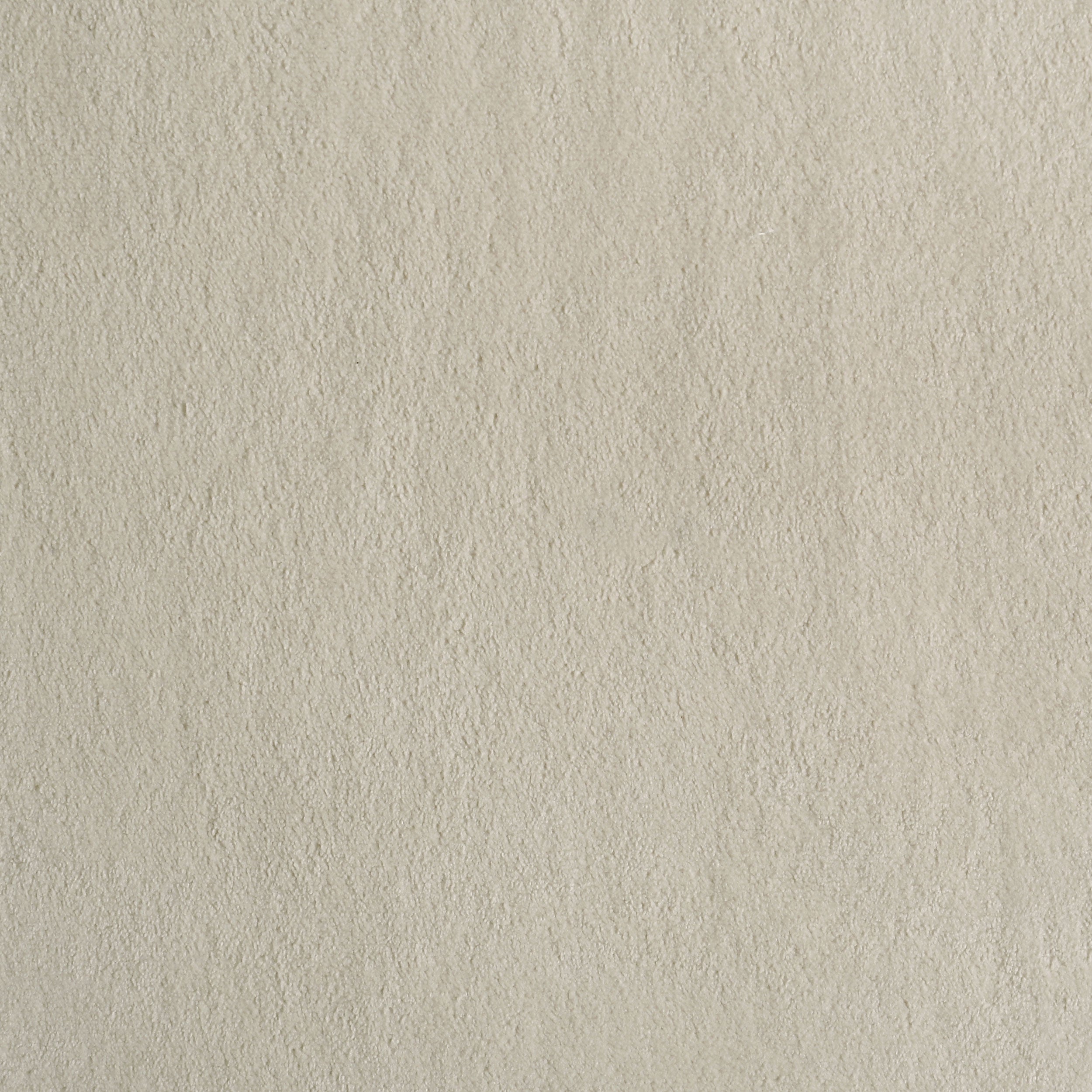 Redbridge Velvet Upholstered Side Chair Cream and Natural Oak (Set of 2)-
