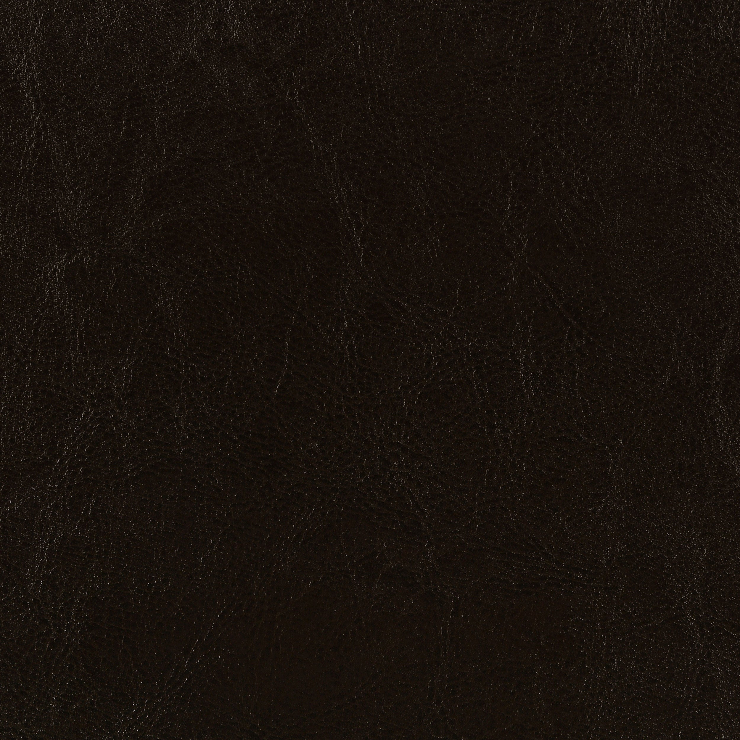 Dorian Faux Leather Upholstered Queen Panel Bed Brown-CoasterEveryday
