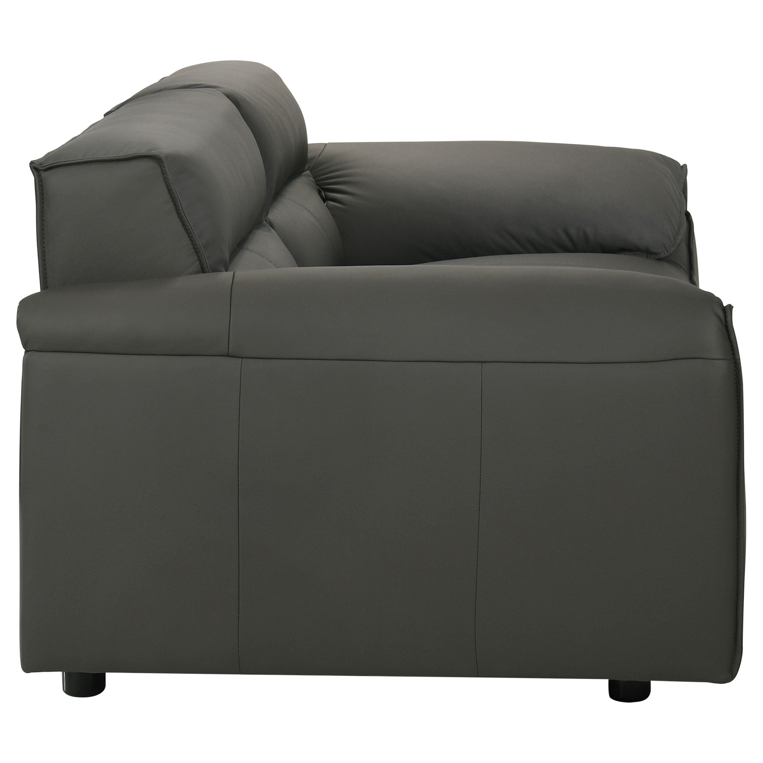 Buxton 2-piece Leather Upholstered Sofa Set Graphite-