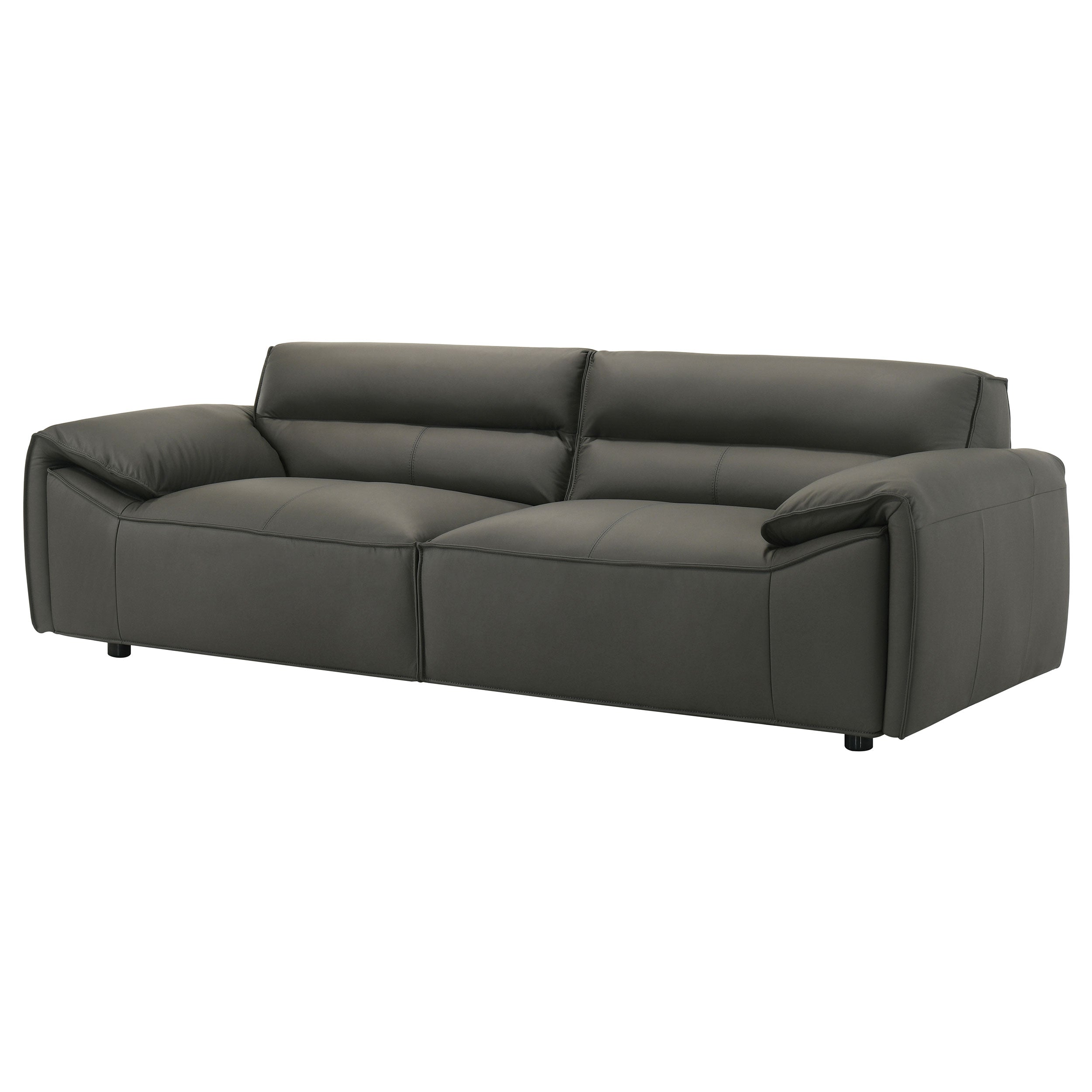 Buxton Top Grain Leather Upholstered Sofa Graphite-