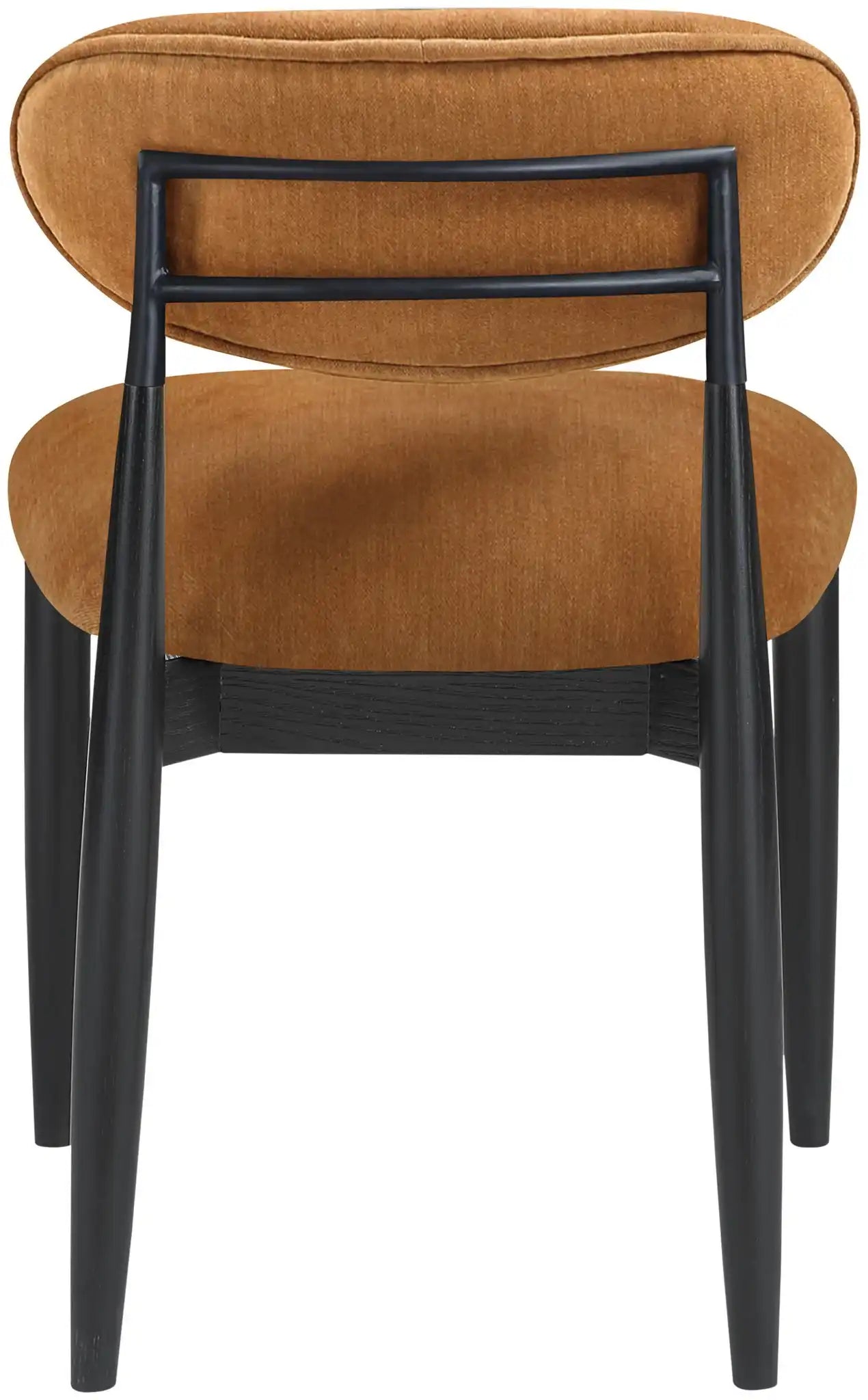 Riccio - Fabric Dining Side Chair (Set of 2) - Black Frame