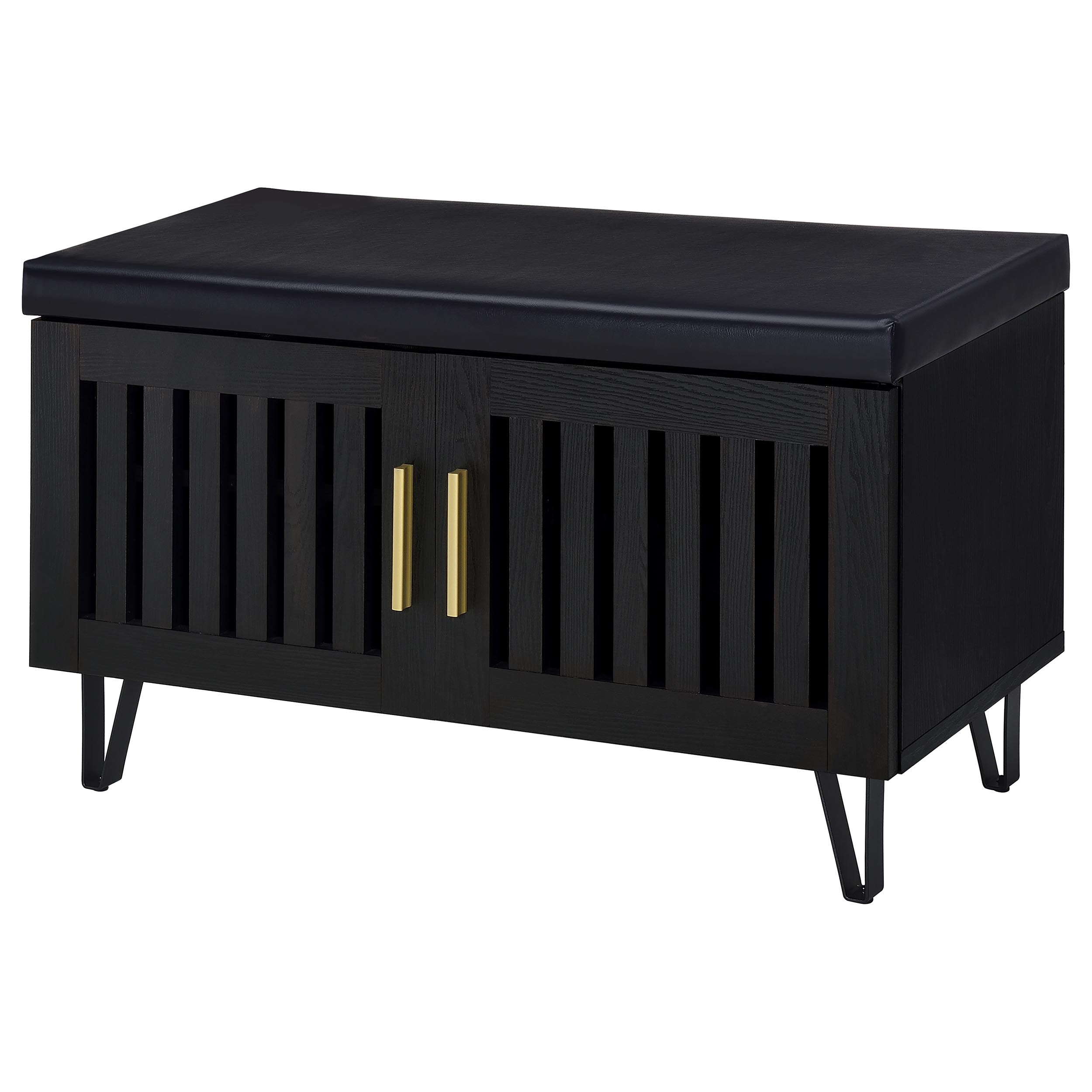 Brixton 2-door Padded Entryway Shoe Storage Bench Black-