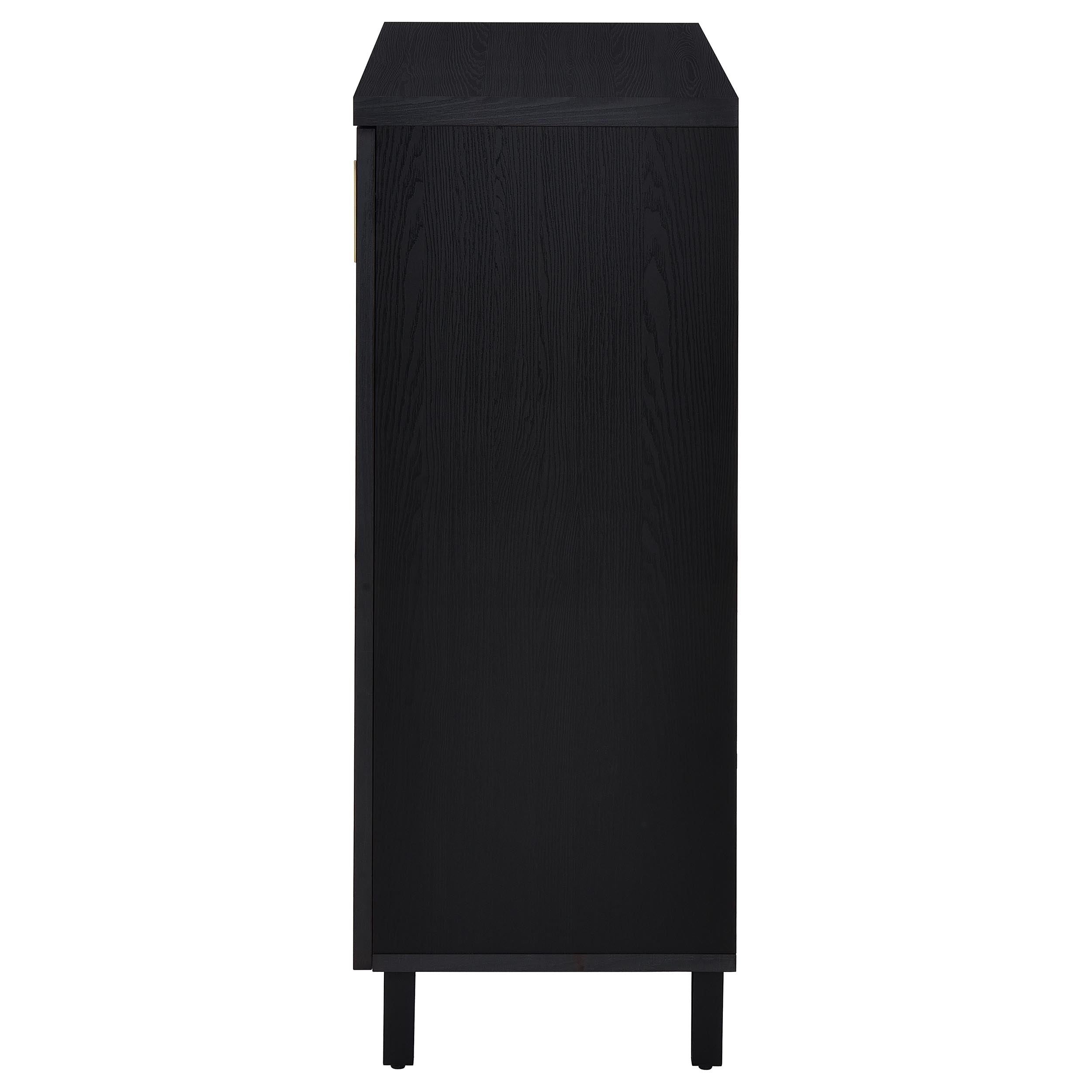 Brixton 2-door Entryway Shoe Storage Cabinets Black-