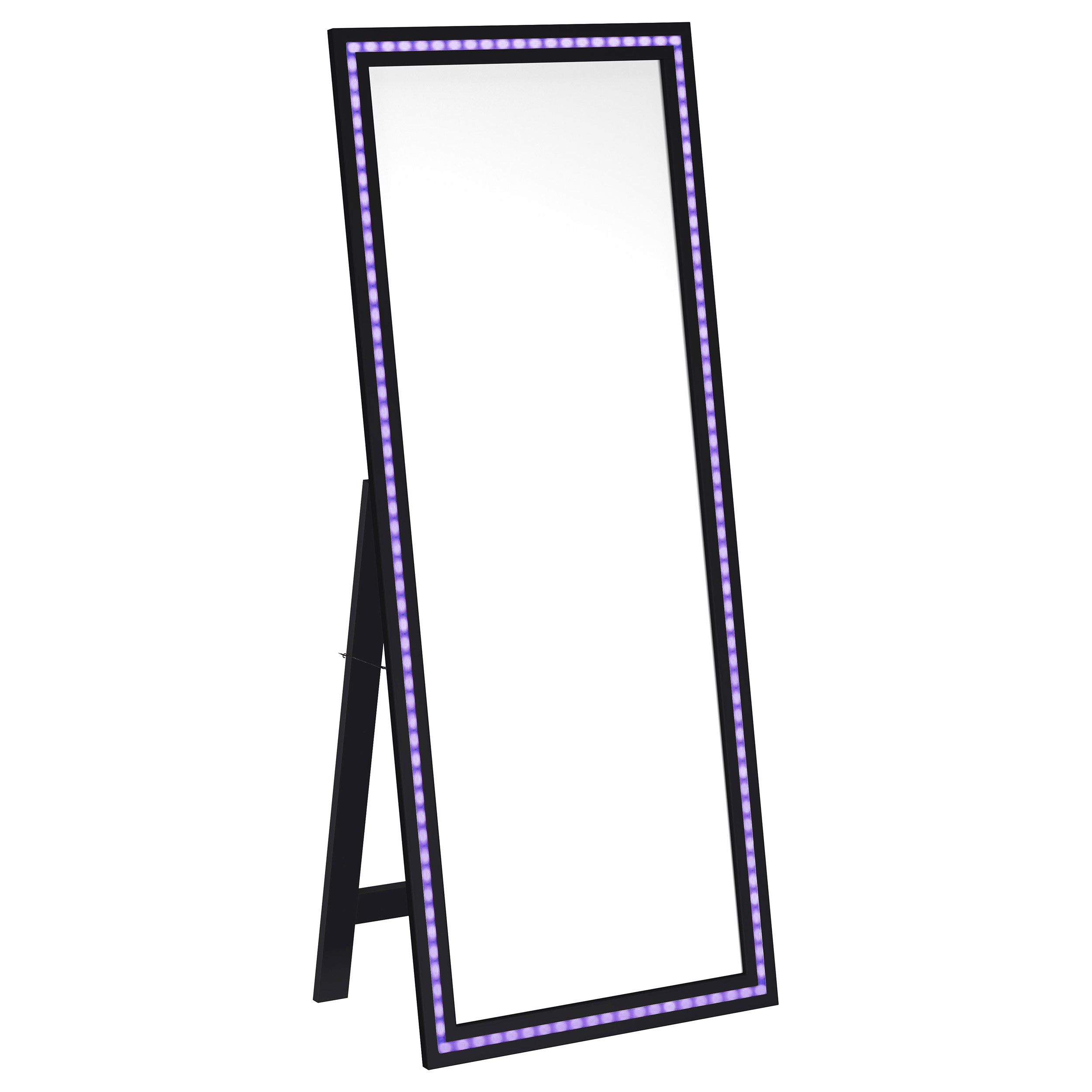 Windrose 28 x 67 Inch Tempered LED Standing Mirror Black-