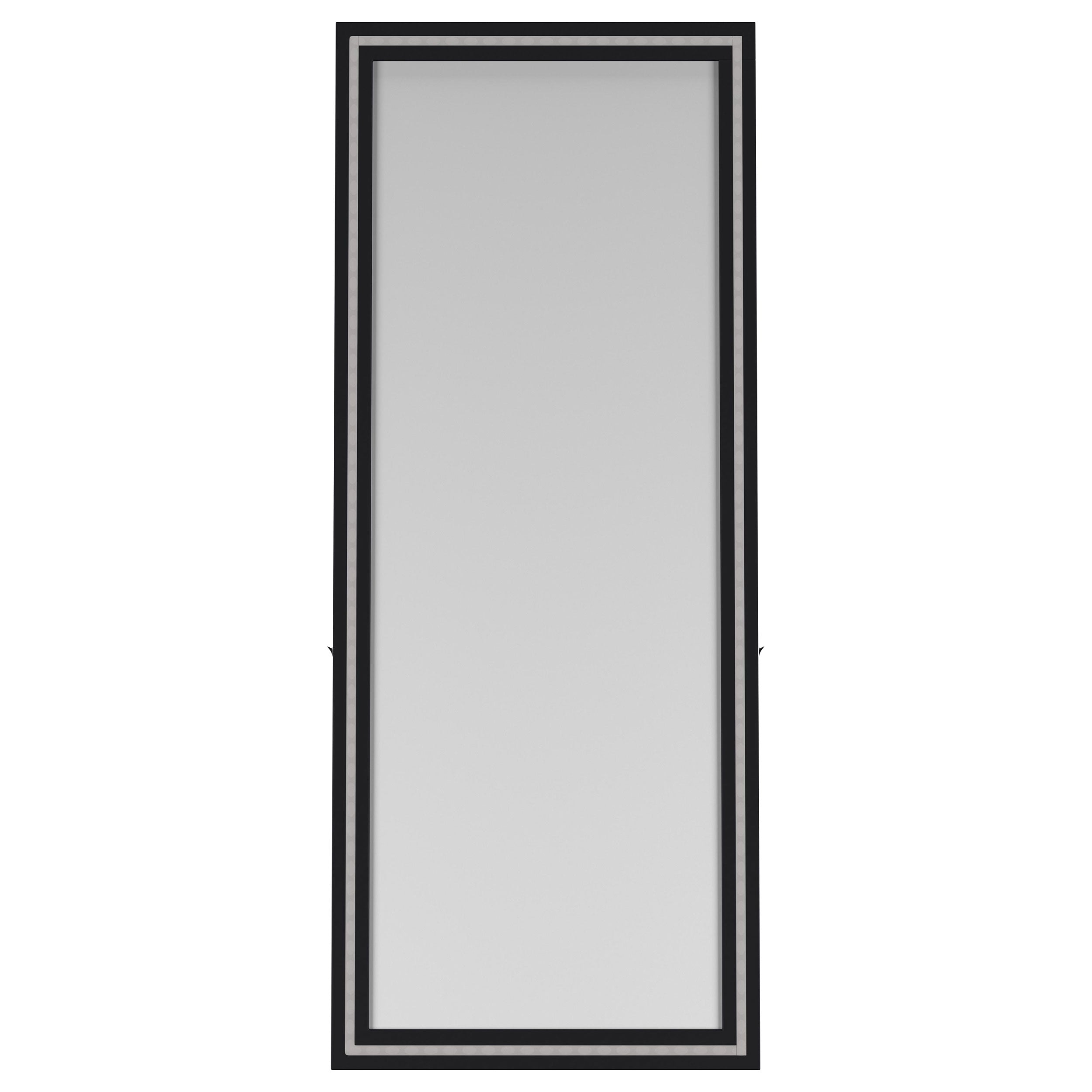 Windrose 28 x 67 Inch Tempered LED Standing Mirror Black-