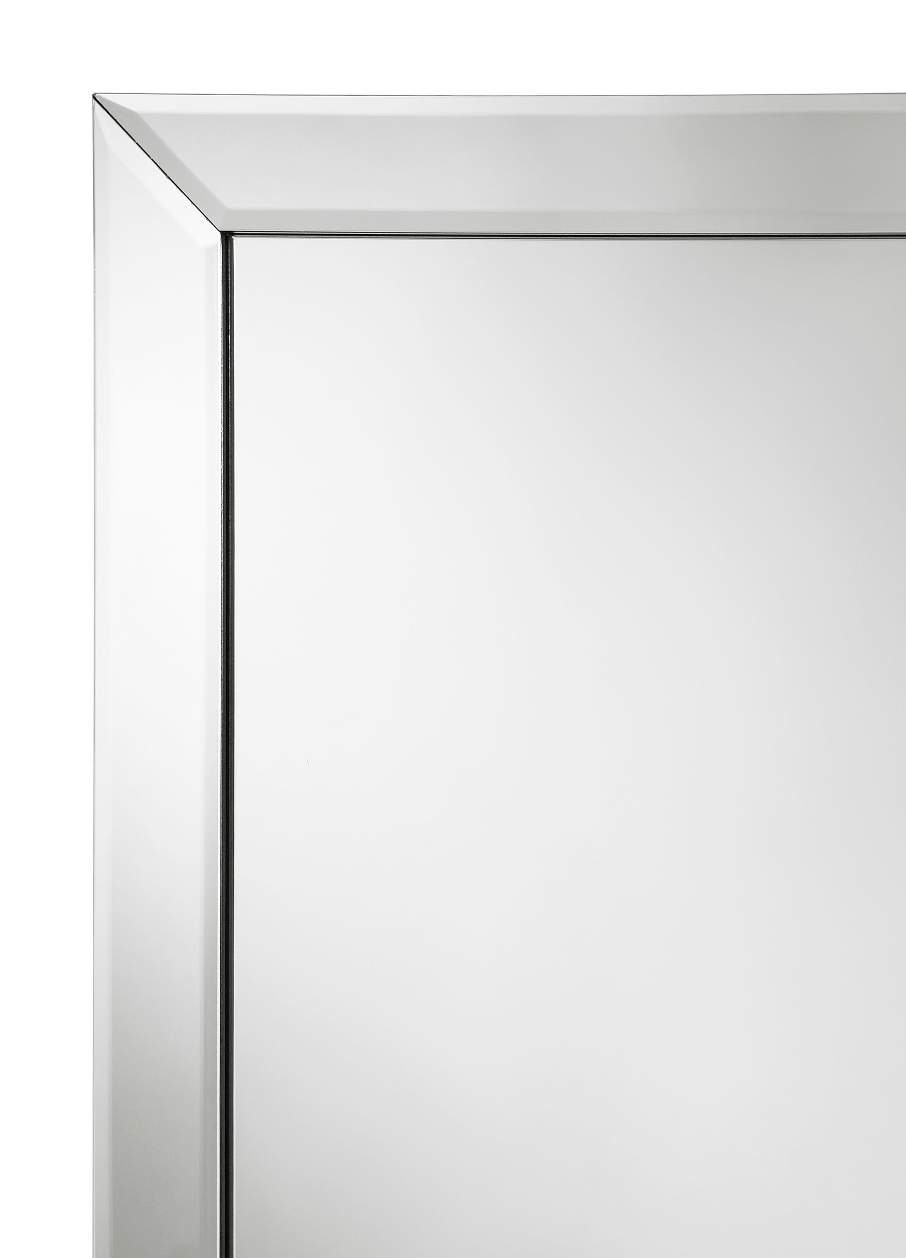 Soline 22 x 61 Inch Framed Standing Floor Mirror Silver-CoasterEveryday
