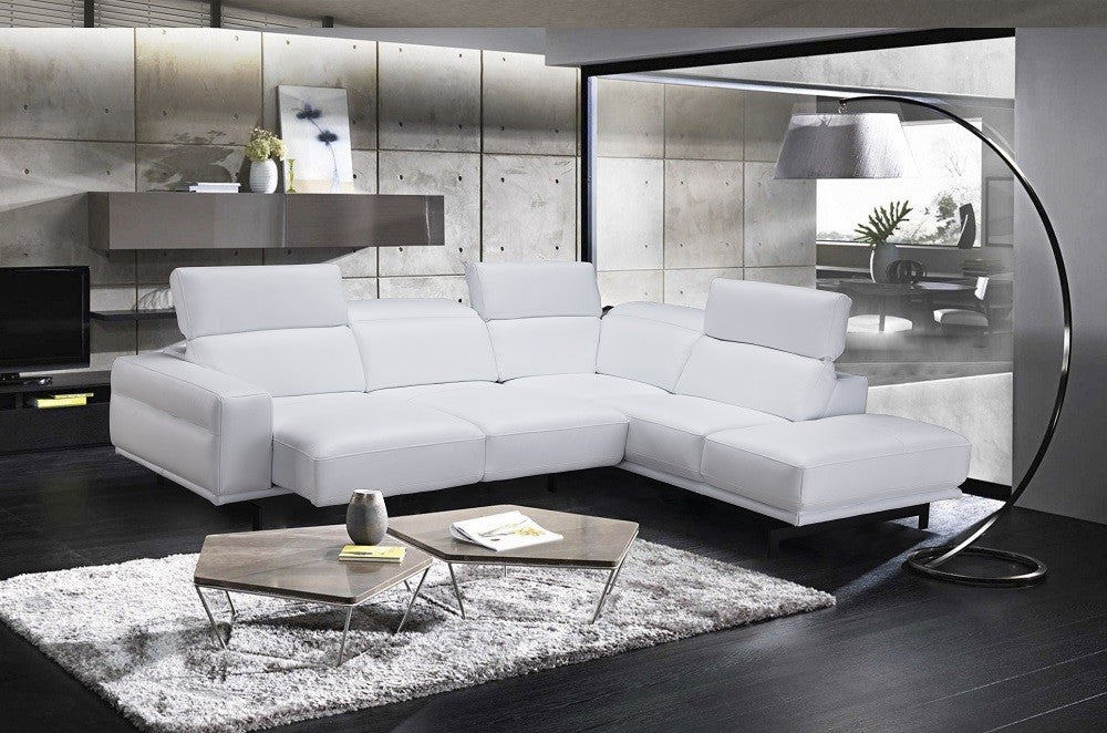 Davenport Leather Sectional J&M