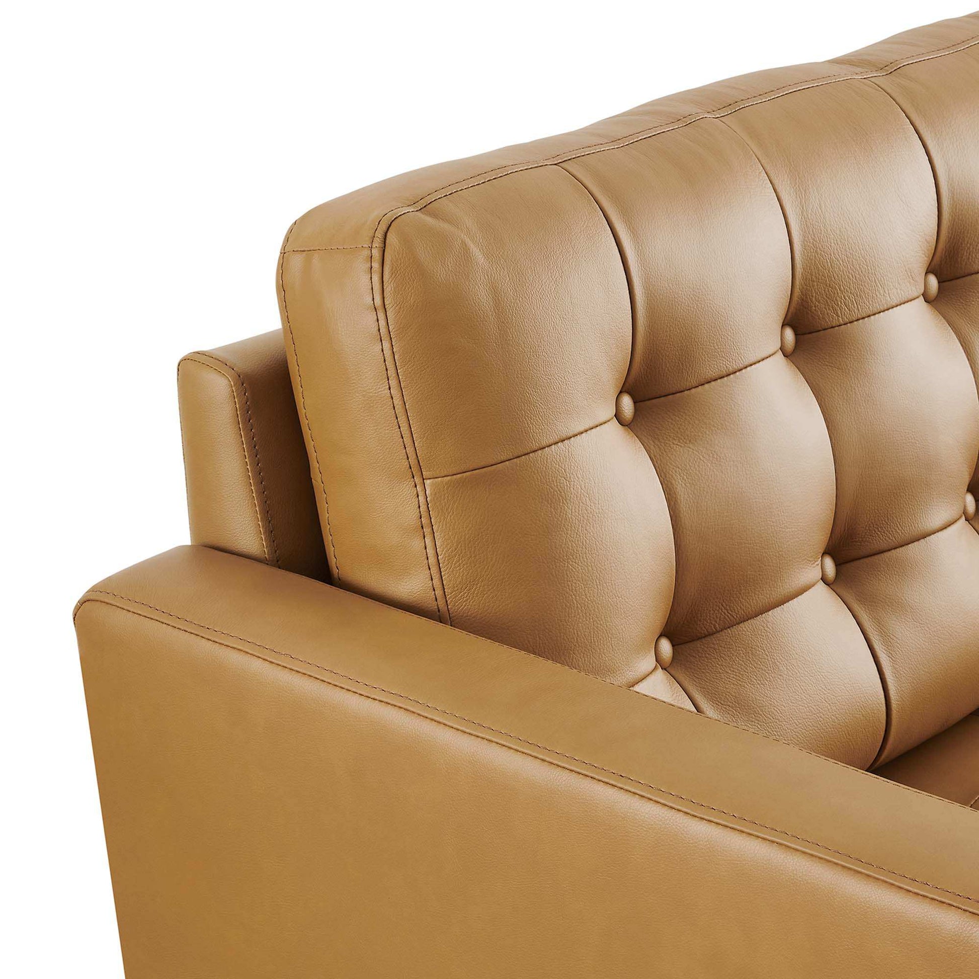 Exalt Tufted Leather Loveseat by Modway - Best Buy Furniture