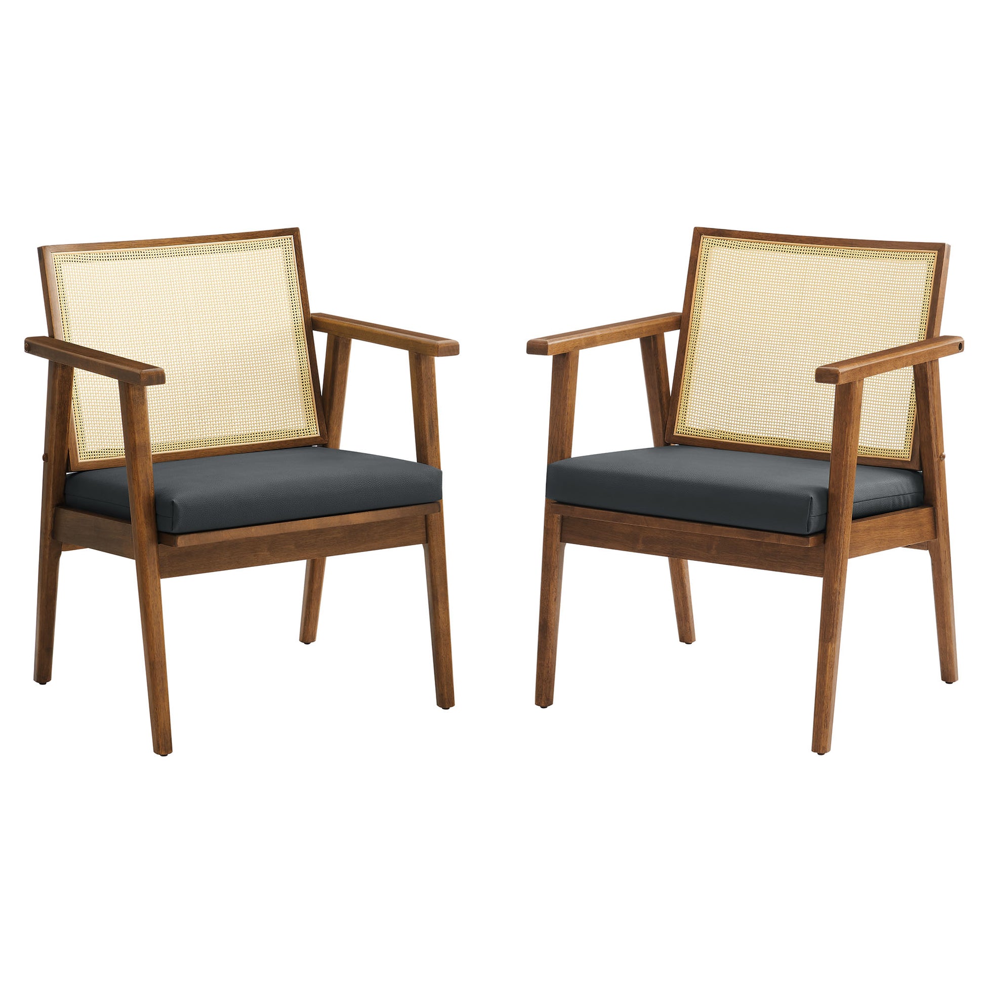 Thera Vegan Leather and Cane Accent Armchairs Set of 2 by Modway - Best Buy Furniture