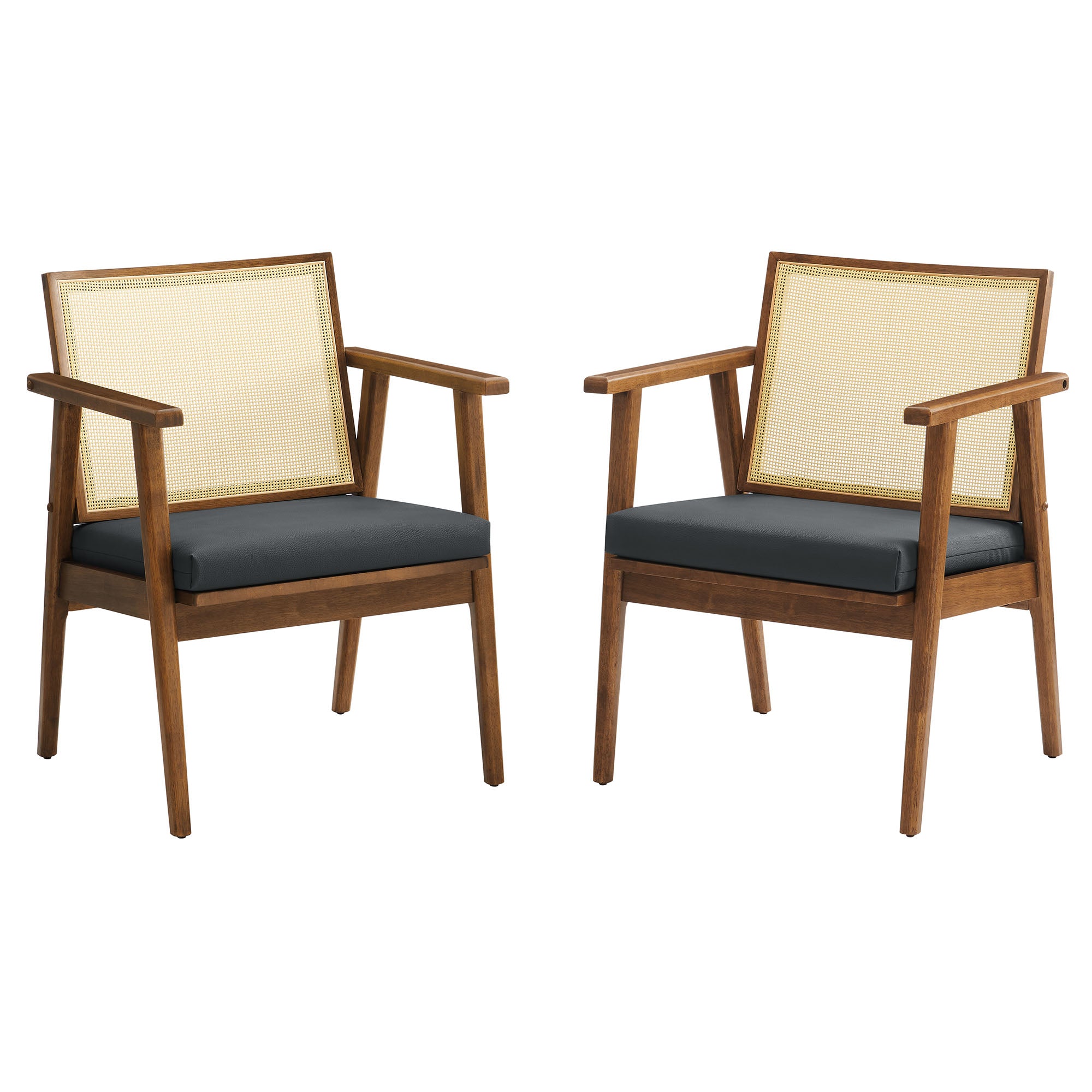 Thera Vegan Leather and Cane Accent Armchairs Set of 2 by Modway - Best Buy Furniture