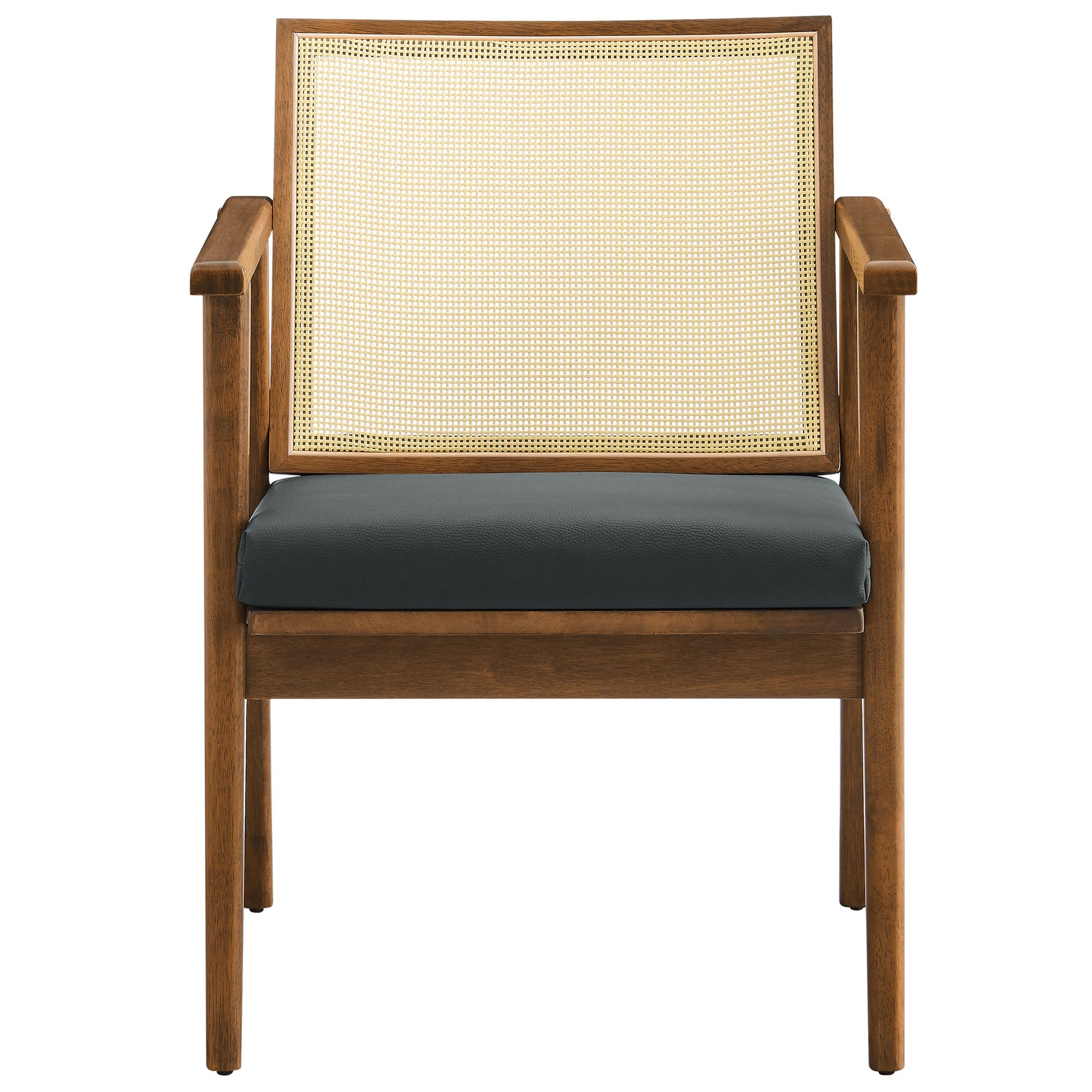 Thera Vegan Leather and Cane Accent Armchairs Set of 2 by Modway - Best Buy Furniture