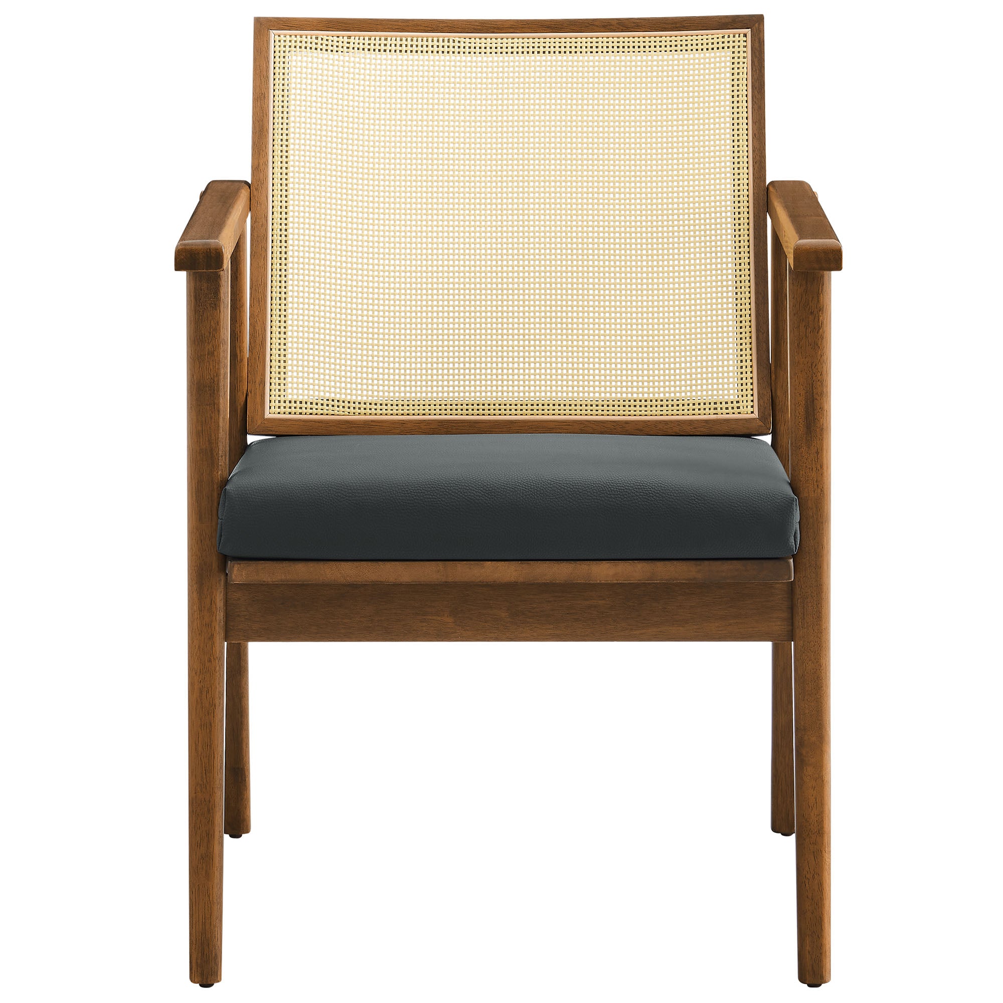 Thera Vegan Leather and Cane Accent Armchairs Set of 2 by Modway - Best Buy Furniture
