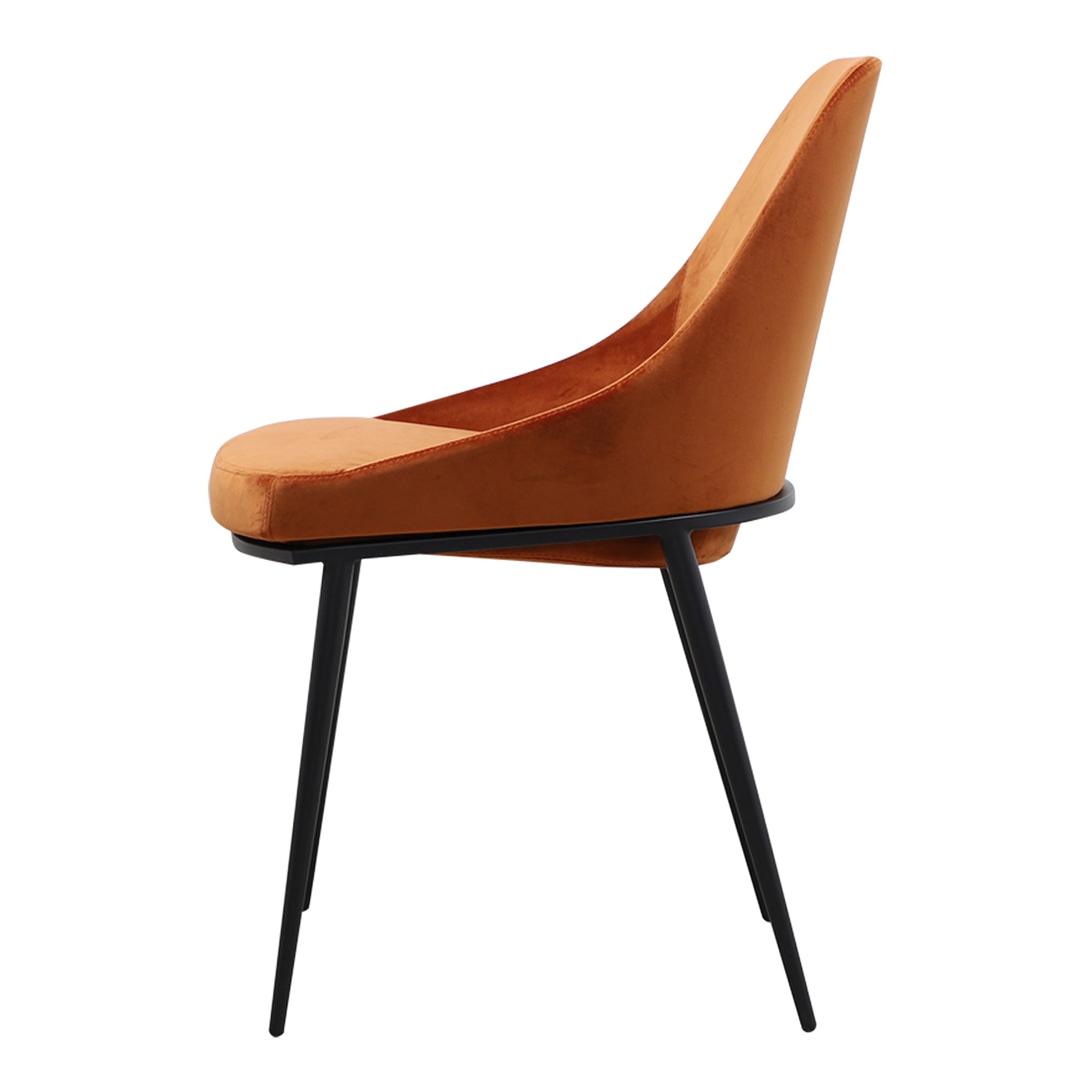 Sedona Dining Chair Amber - Set Of Two - Moes Home