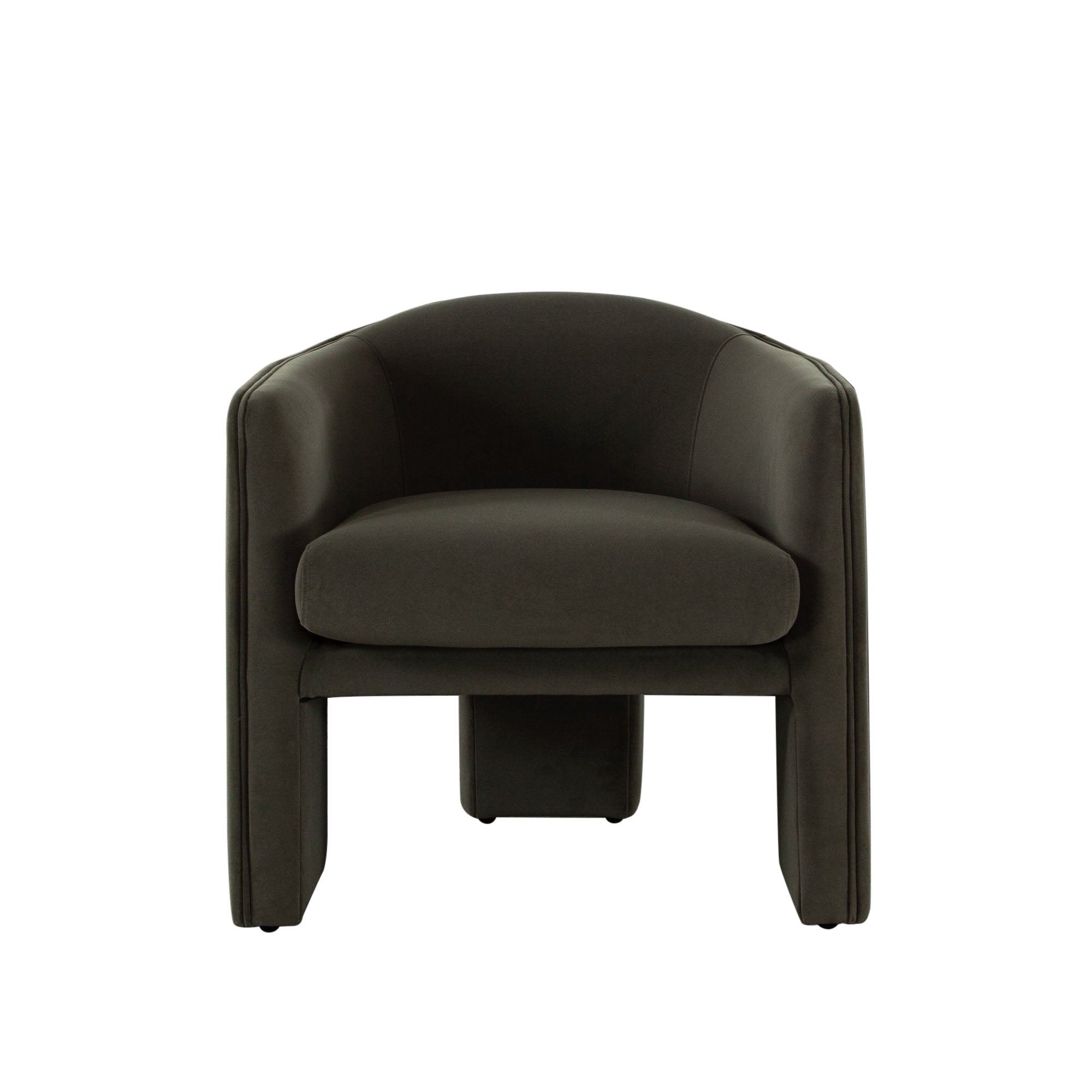 Leyah Accent Chair in Winter Moss Performance Velvet by Diamond Sofa
