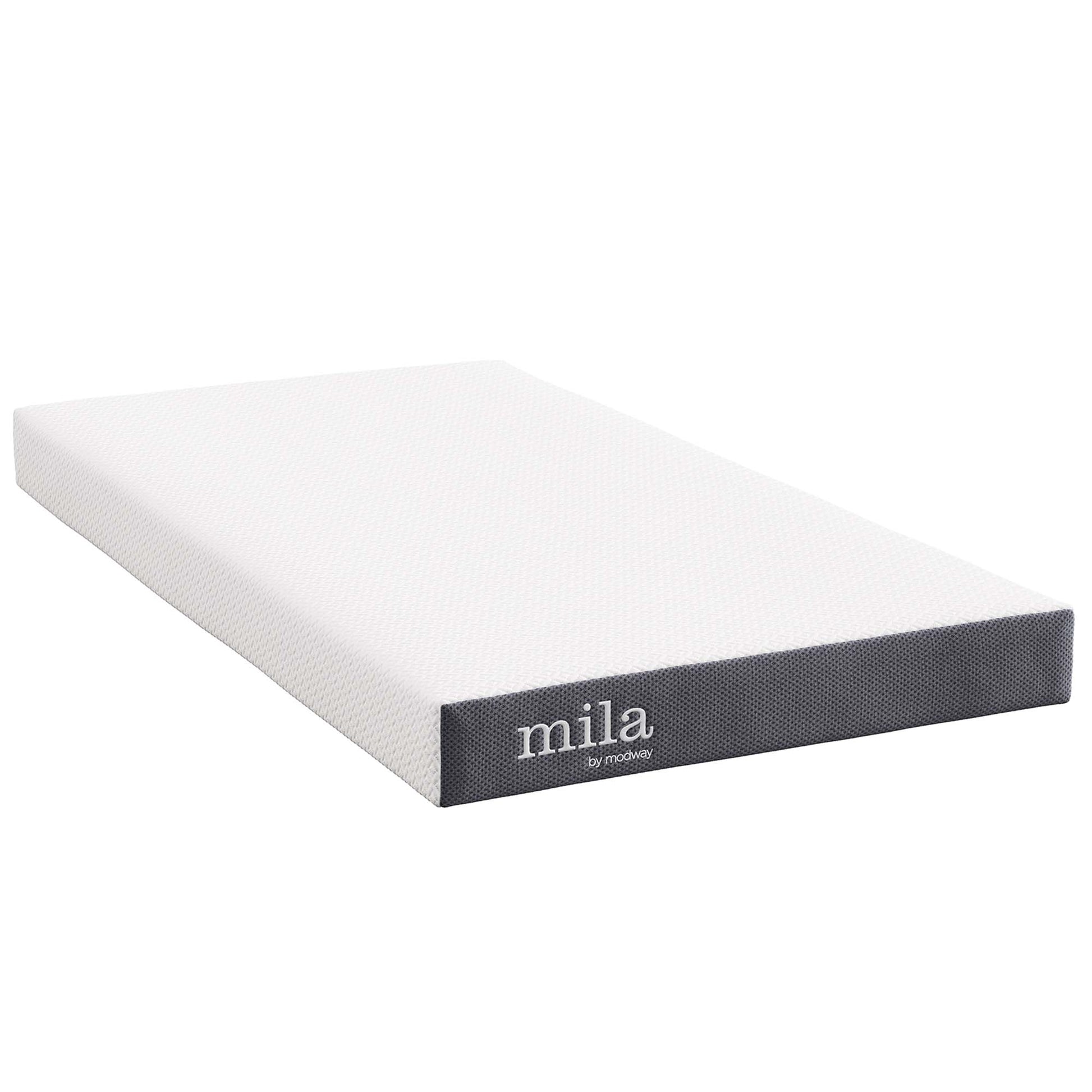 Mila 6" Twin Mattress by Modway - Best Buy Furniture