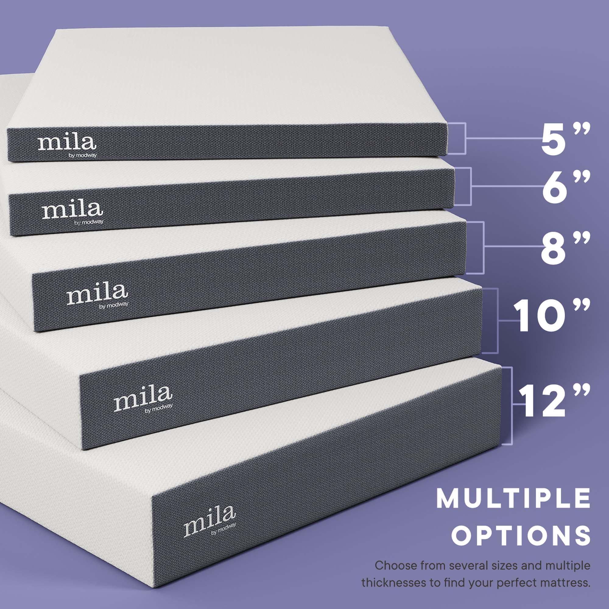 Mila 6" Twin Mattress by Modway - Best Buy Furniture