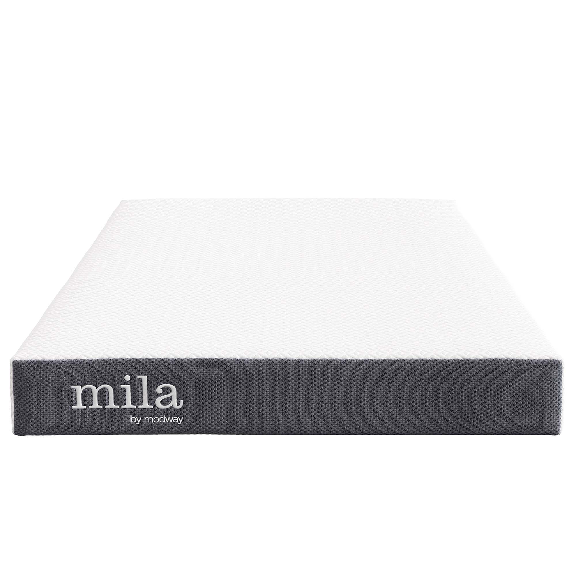 Mila 6" Twin Mattress by Modway - Best Buy Furniture