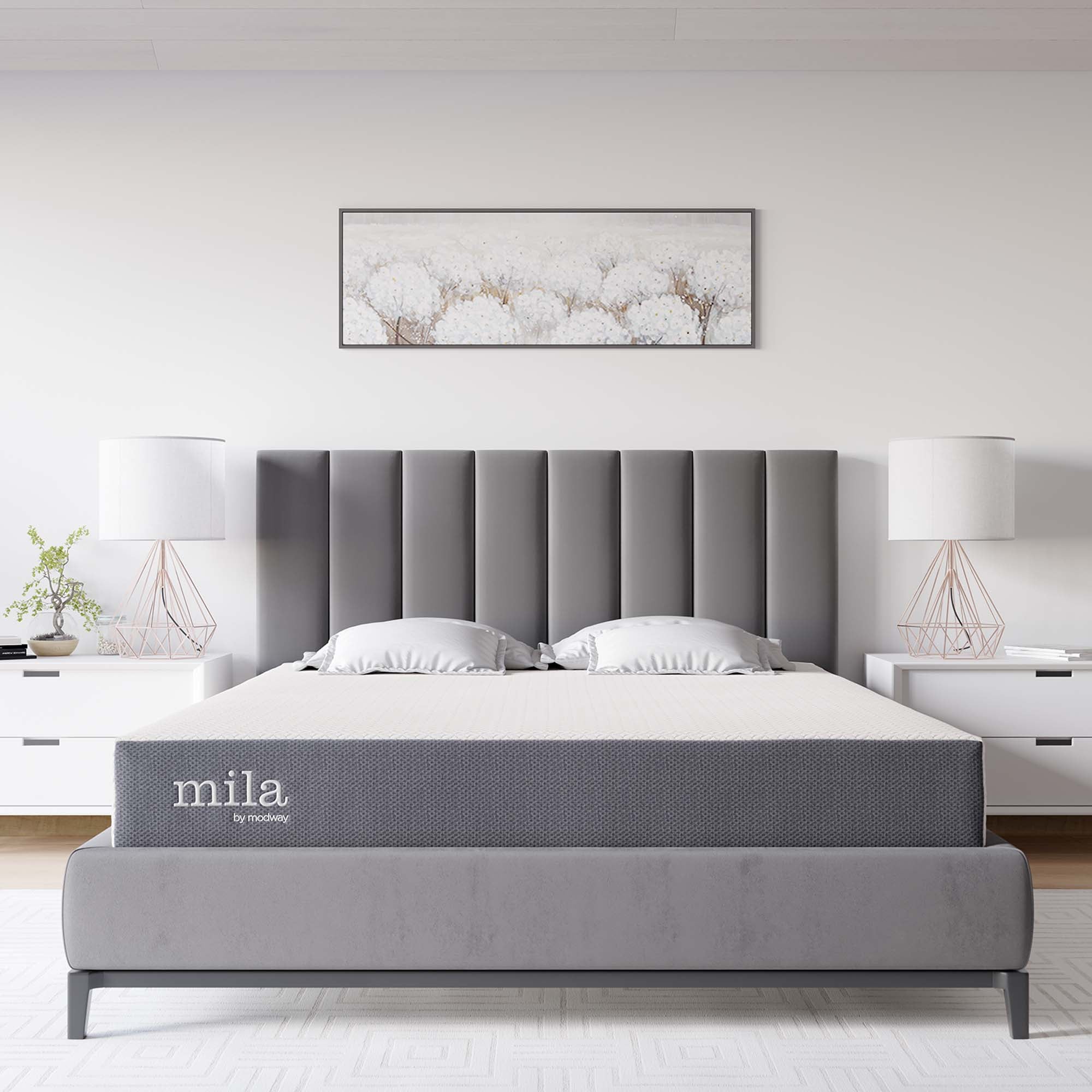 Mila 8" Queen Mattress by Modway - Best Buy Furniture