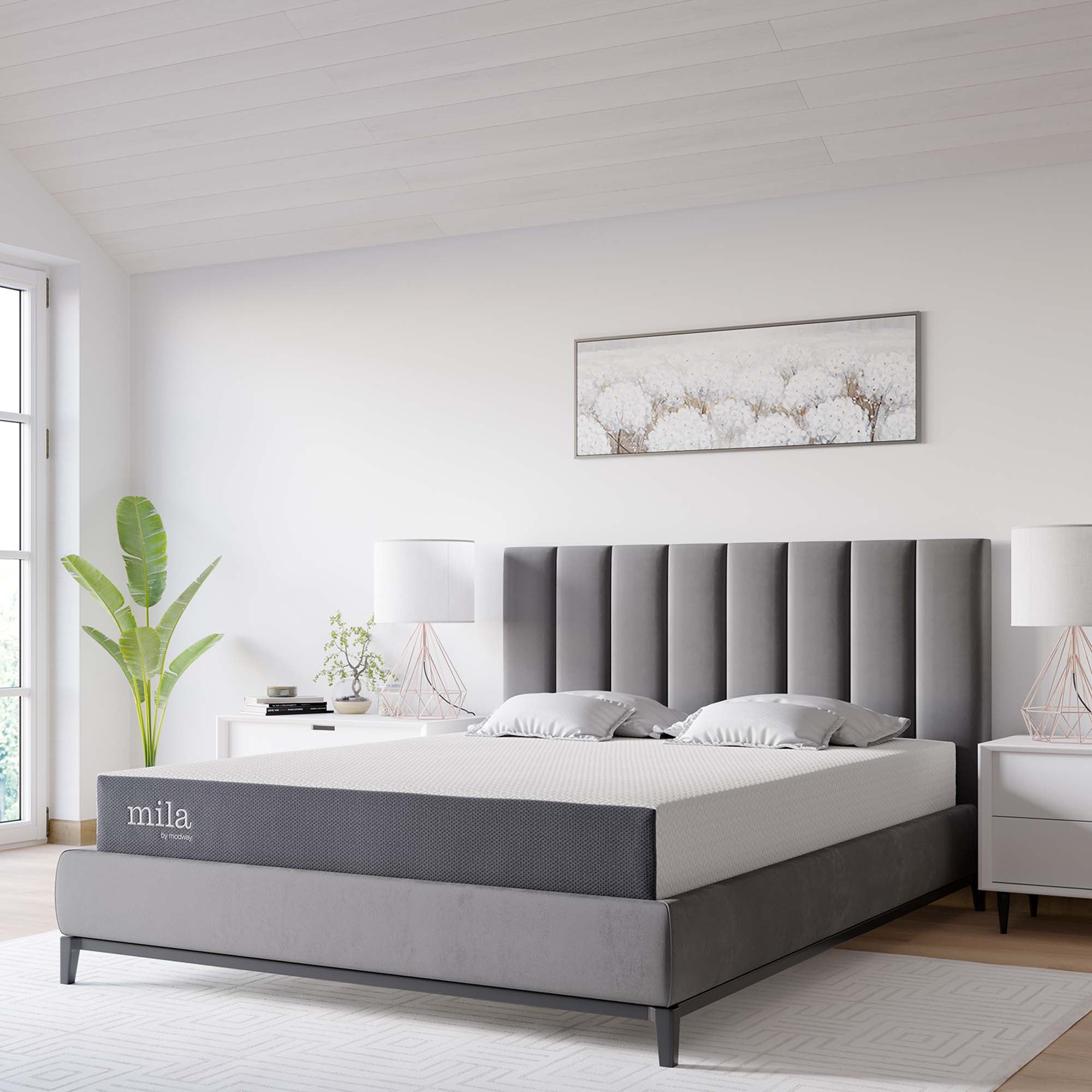 Mila 8" Queen Mattress by Modway - Best Buy Furniture
