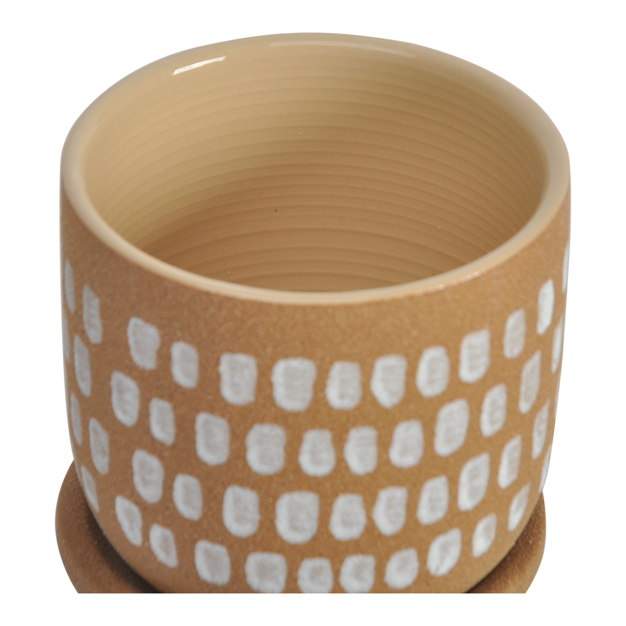 Botanical Planter - Moes Home