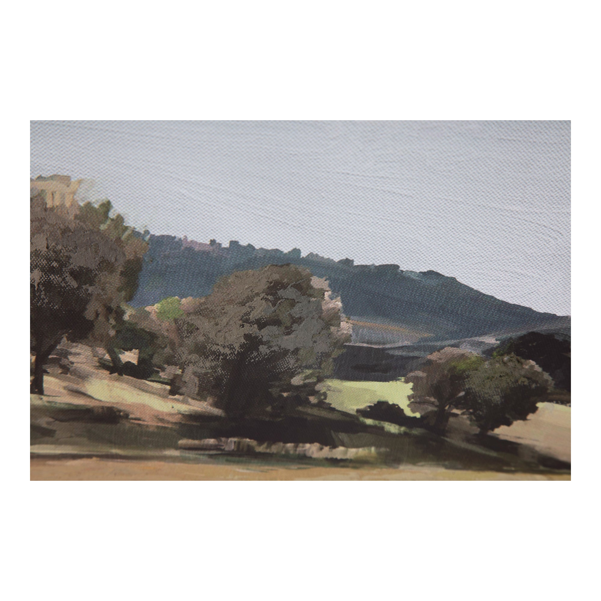 Vast Country Framed Painting - Moes Home