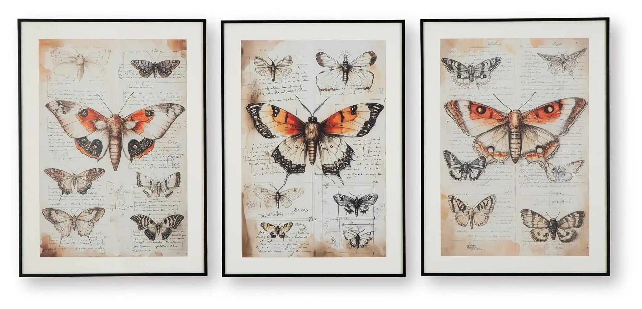 Jossletts - Wall Art Set (Set of 3) - Orange / Black / Ivory - Best Buy Furniture
