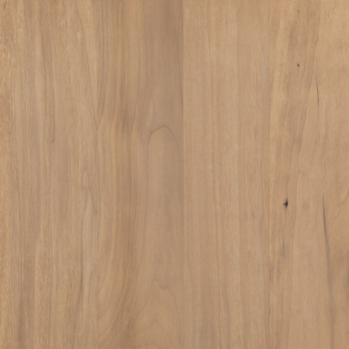Isador Media Console