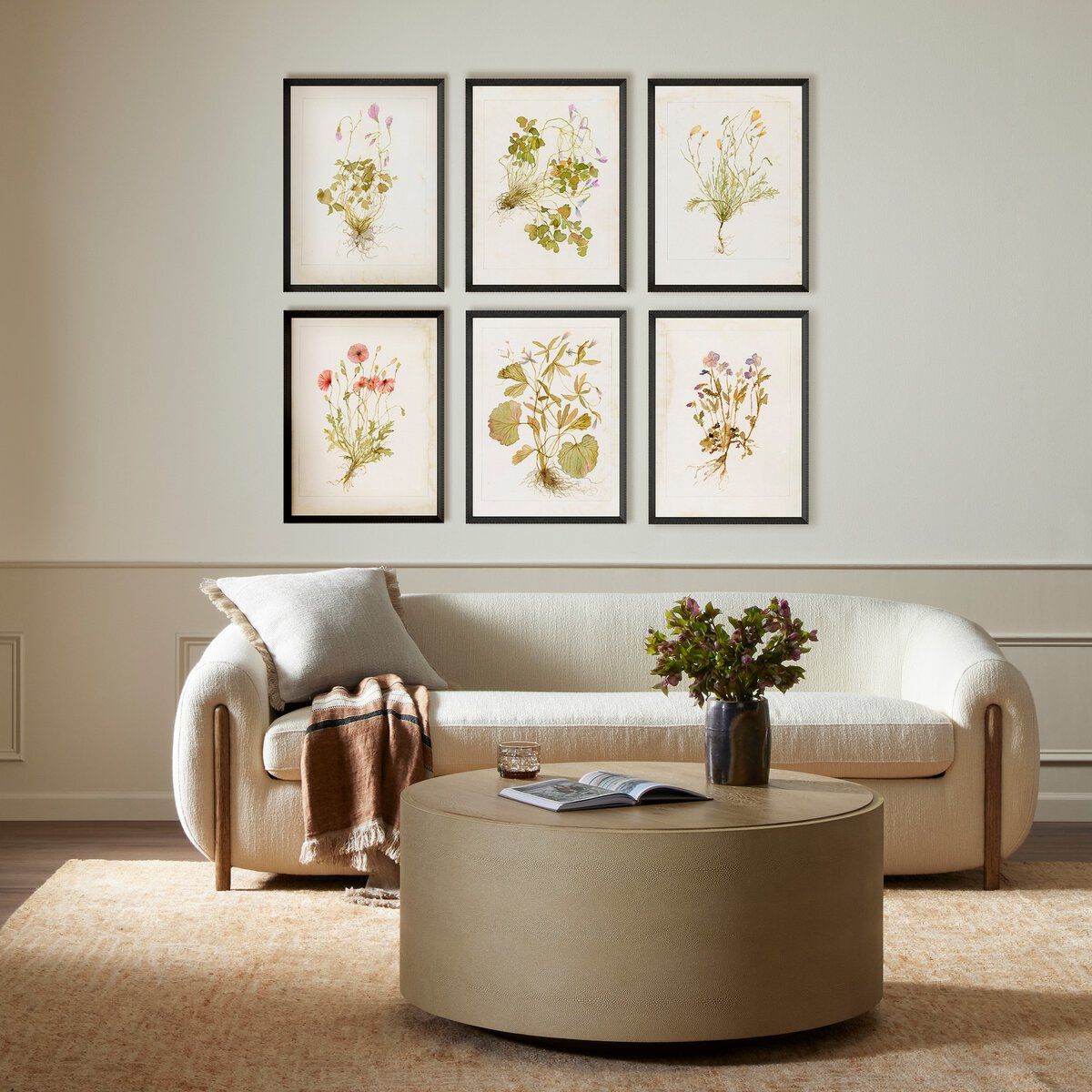 Herbarium Set By Laurel-dawn Latshaw