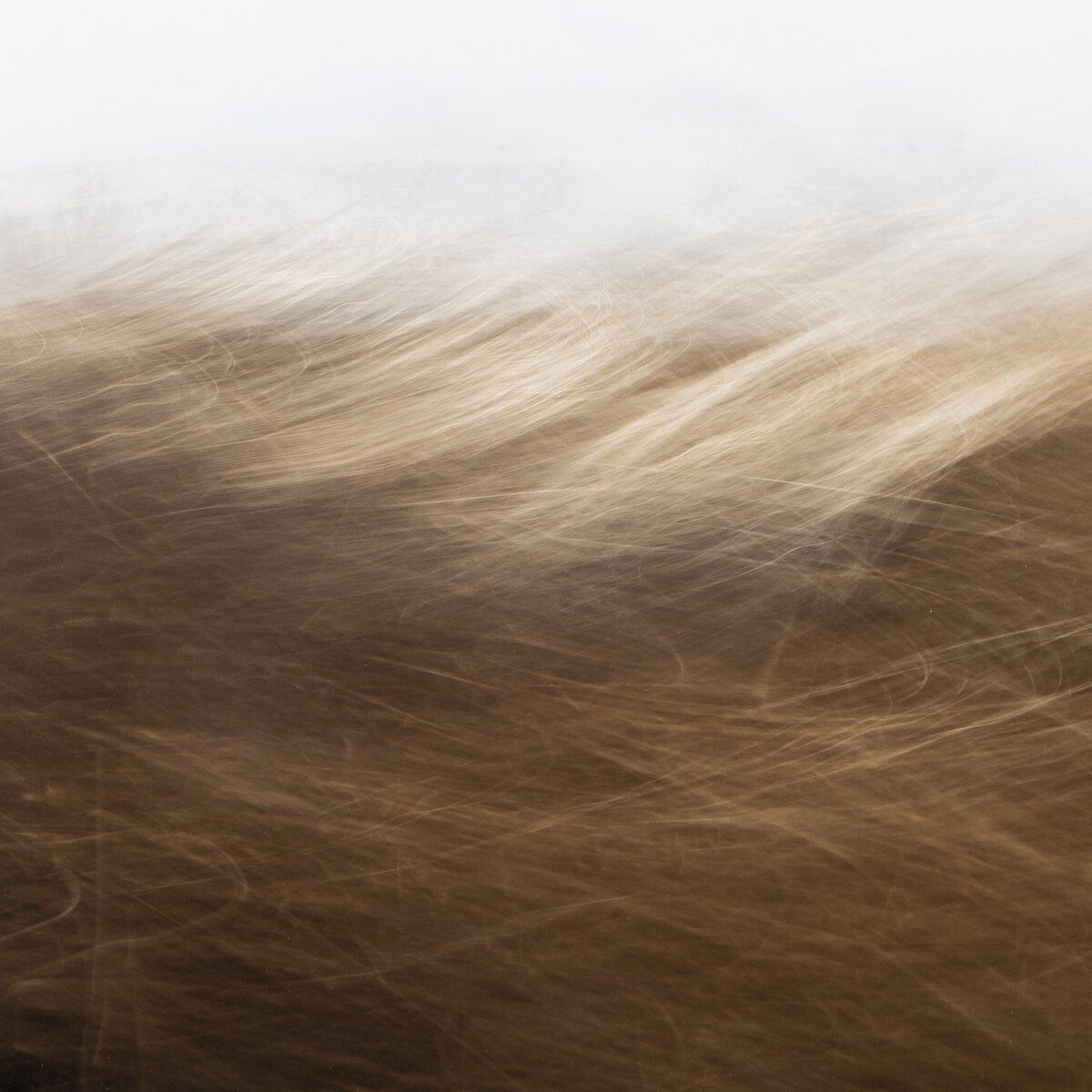 Reality Unfurled By Toni Toscano