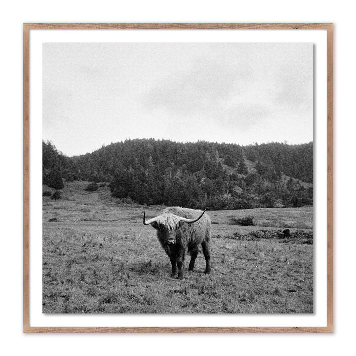 Highlander / Elk, Ca By Wesley And Emma Teague