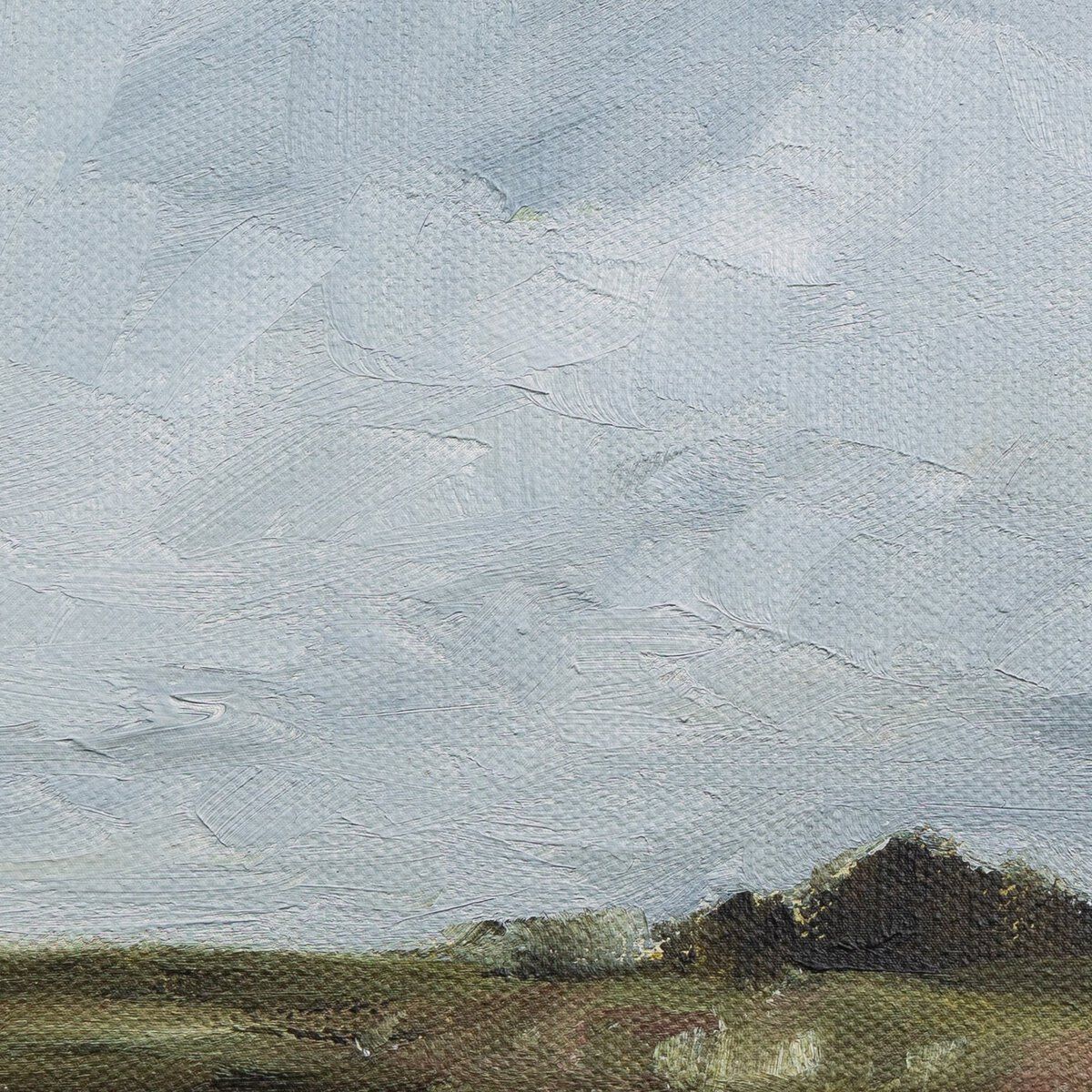 Farmland By Shaina Page