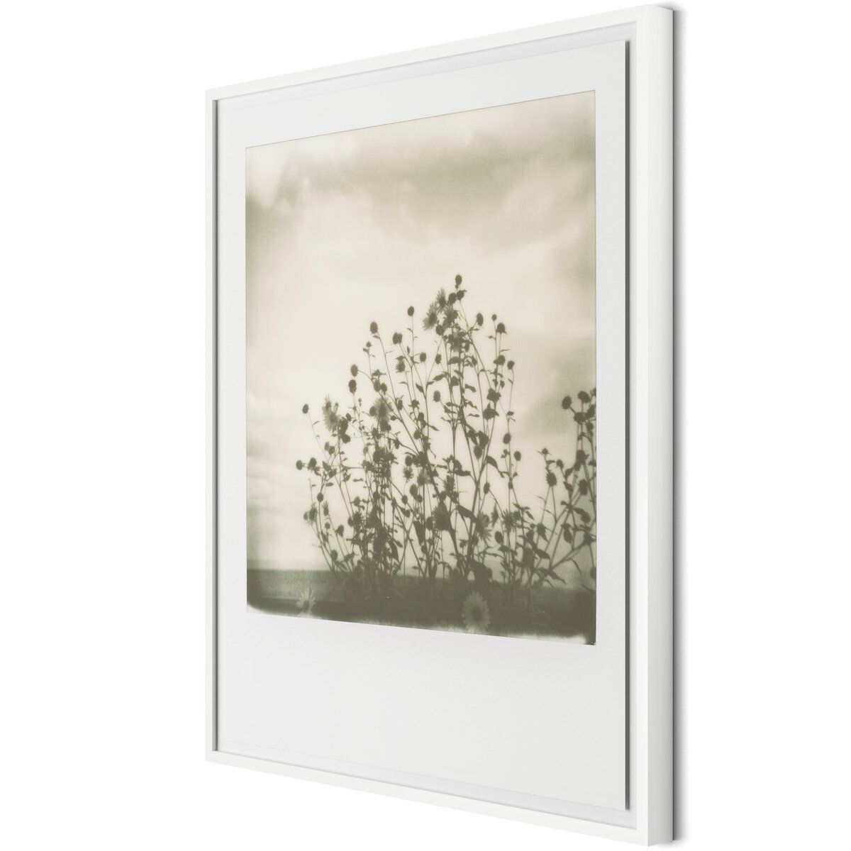 Sunflowers By Darden Smith