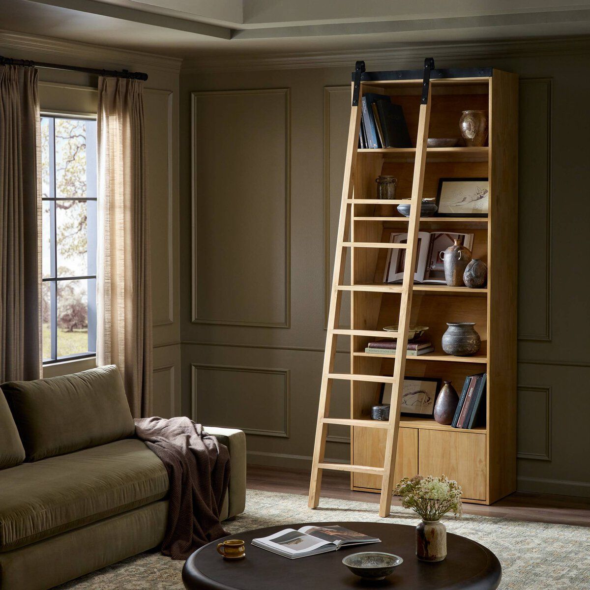 Bane Bookshelf
