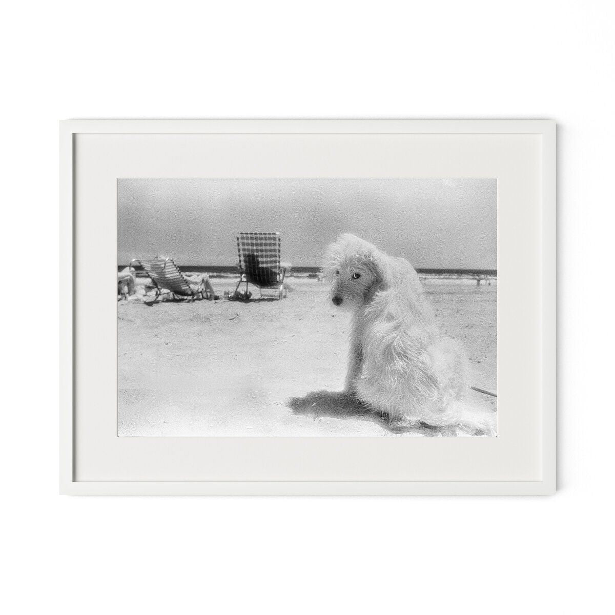 Lois At The Beach By Barbara Alper