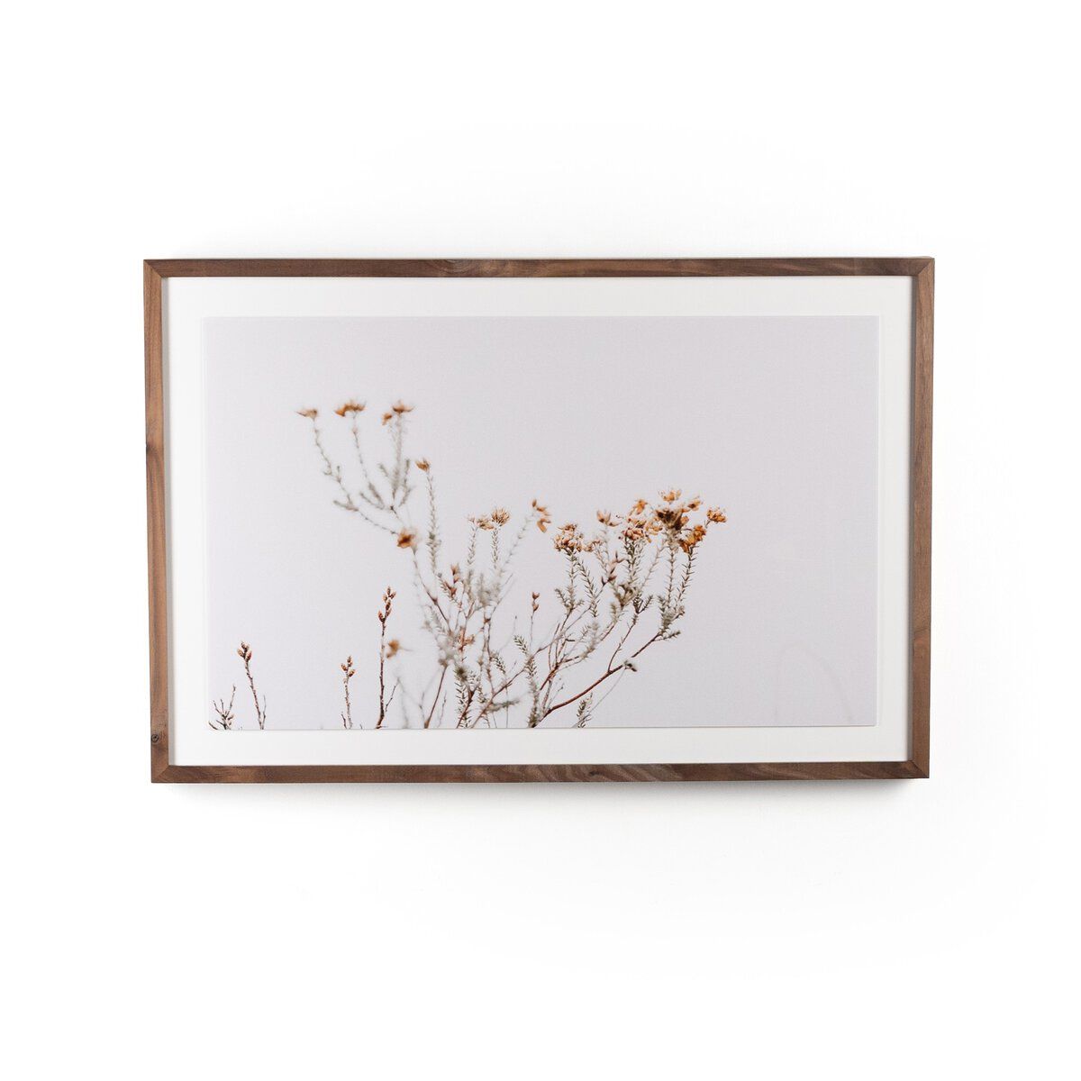 In The Details I By Annie Spratt