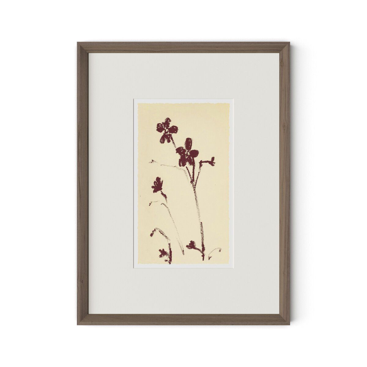 Meadow Rue No.9 By Shaina Page