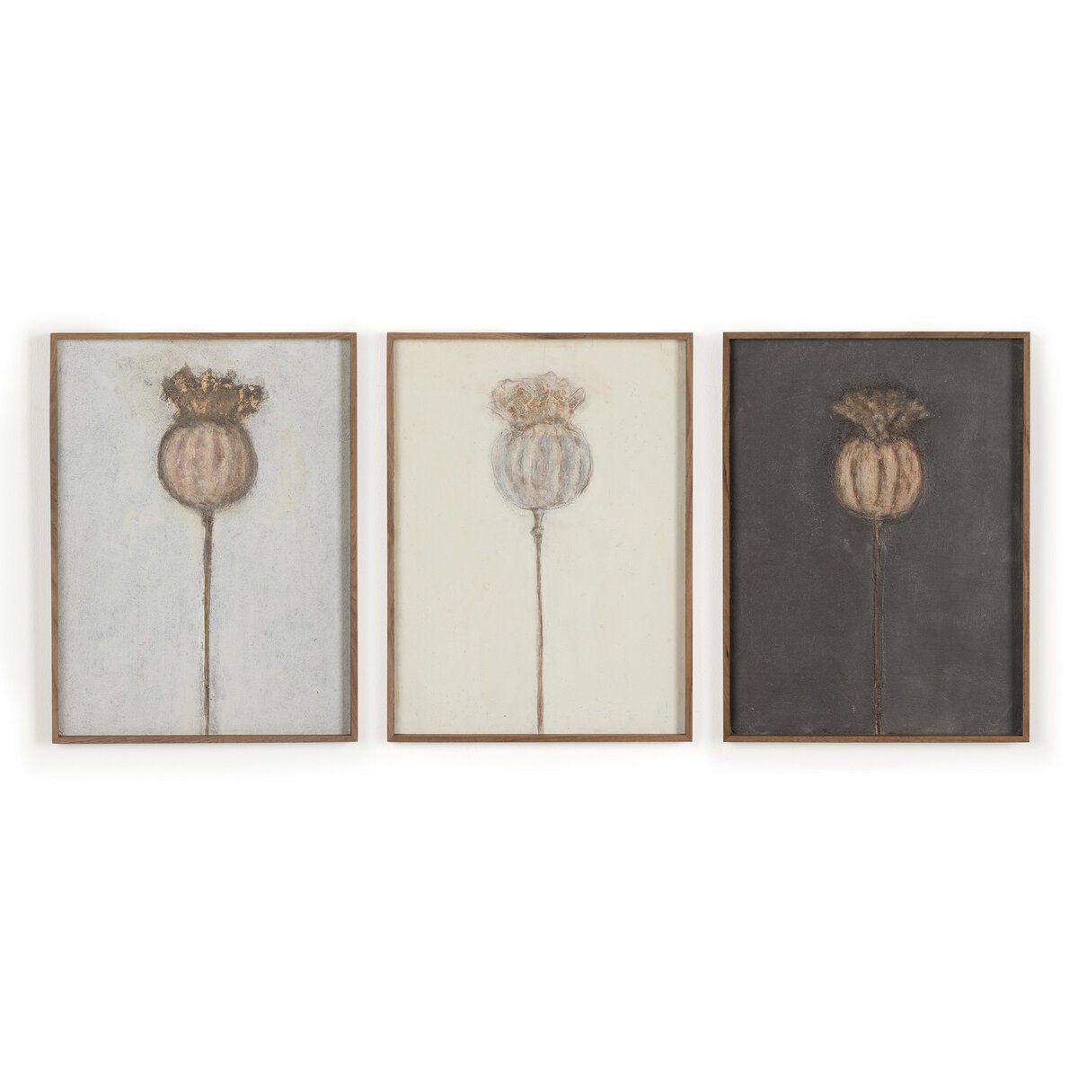 Poppy Triptych By Paul Meyer
