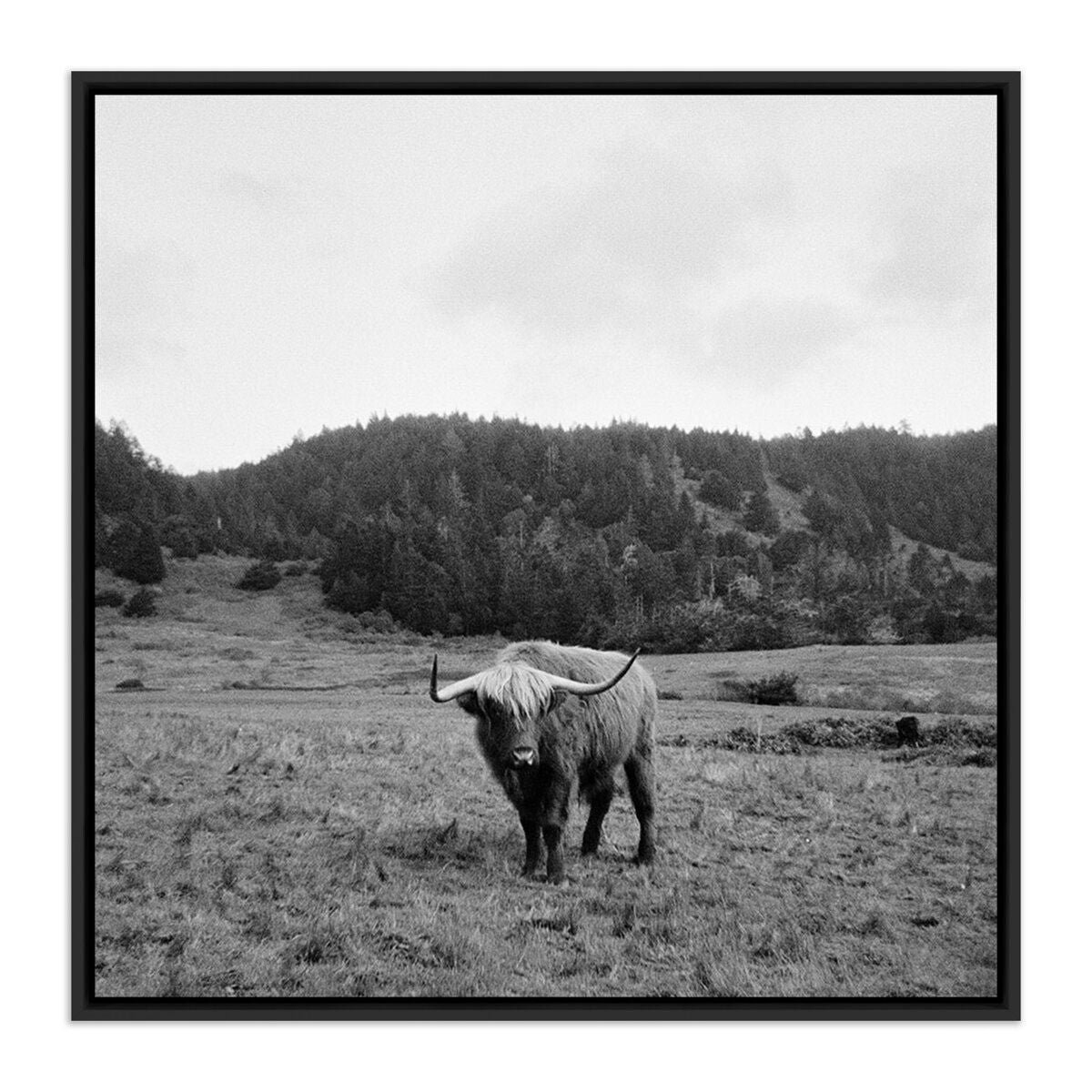 Highlander / Elk, Ca By Wesley And Emma Teague