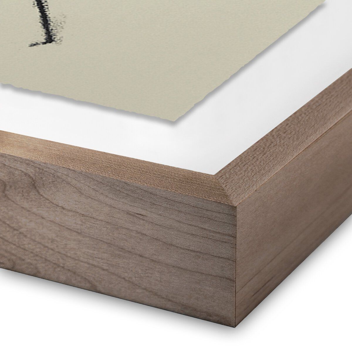 Rubbings 5 By Fox Studios