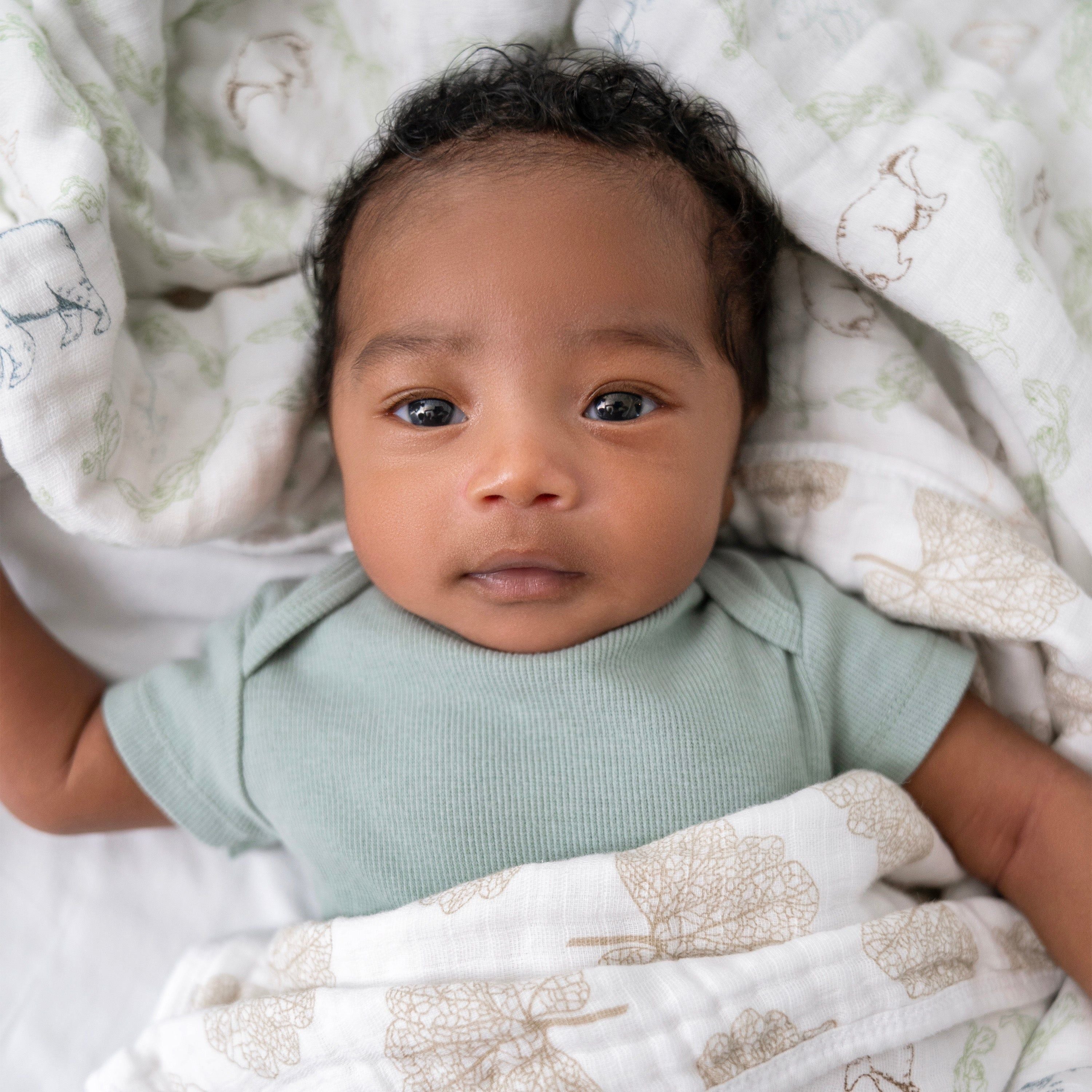 Essentials Cotton Muslin Dream Blanket