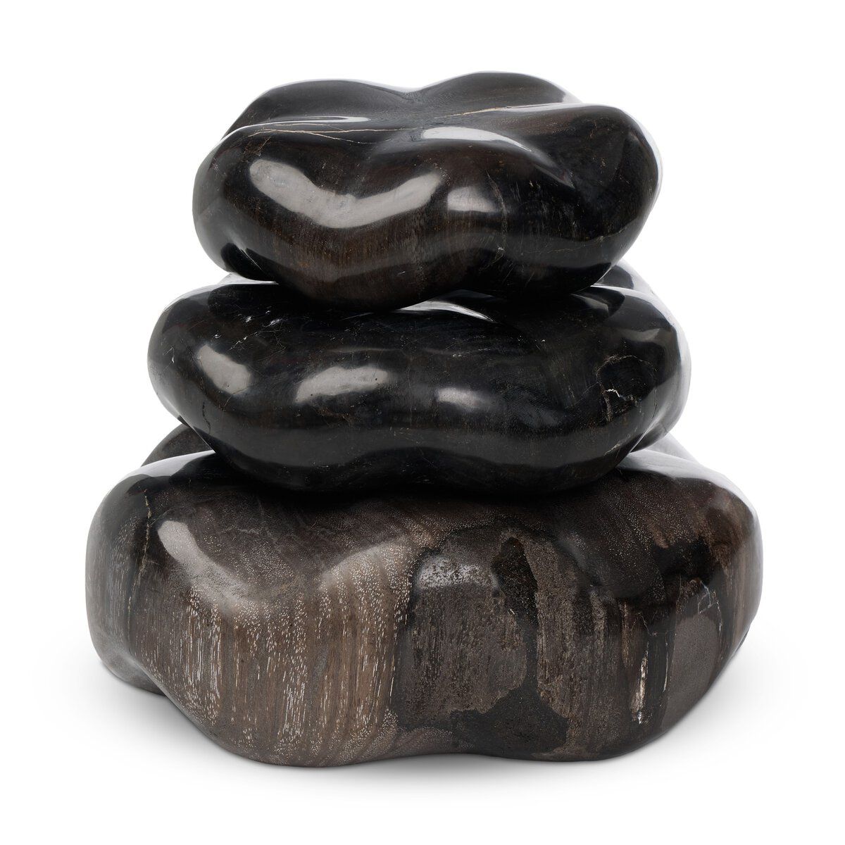 Petrified Wood Organic Sculpture, Set Of 3