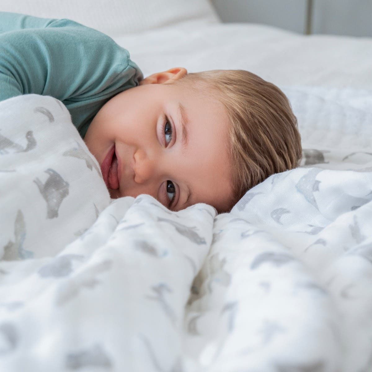Organic Cotton Muslin Dream Blanket