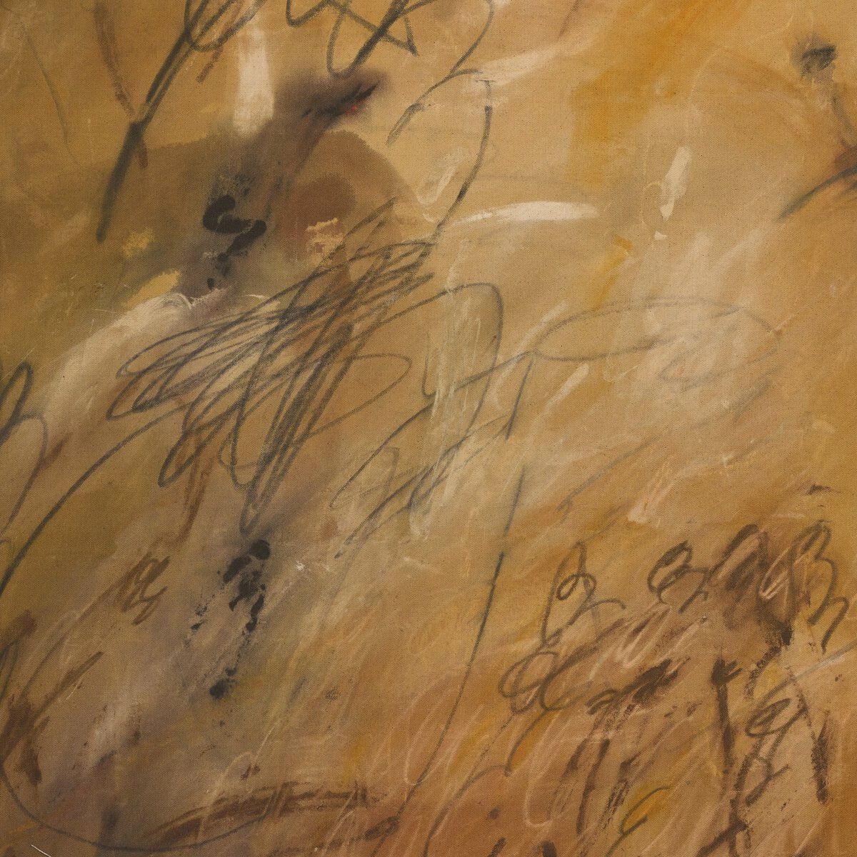 Chihuahuan Soil By Katherine Hunsaker