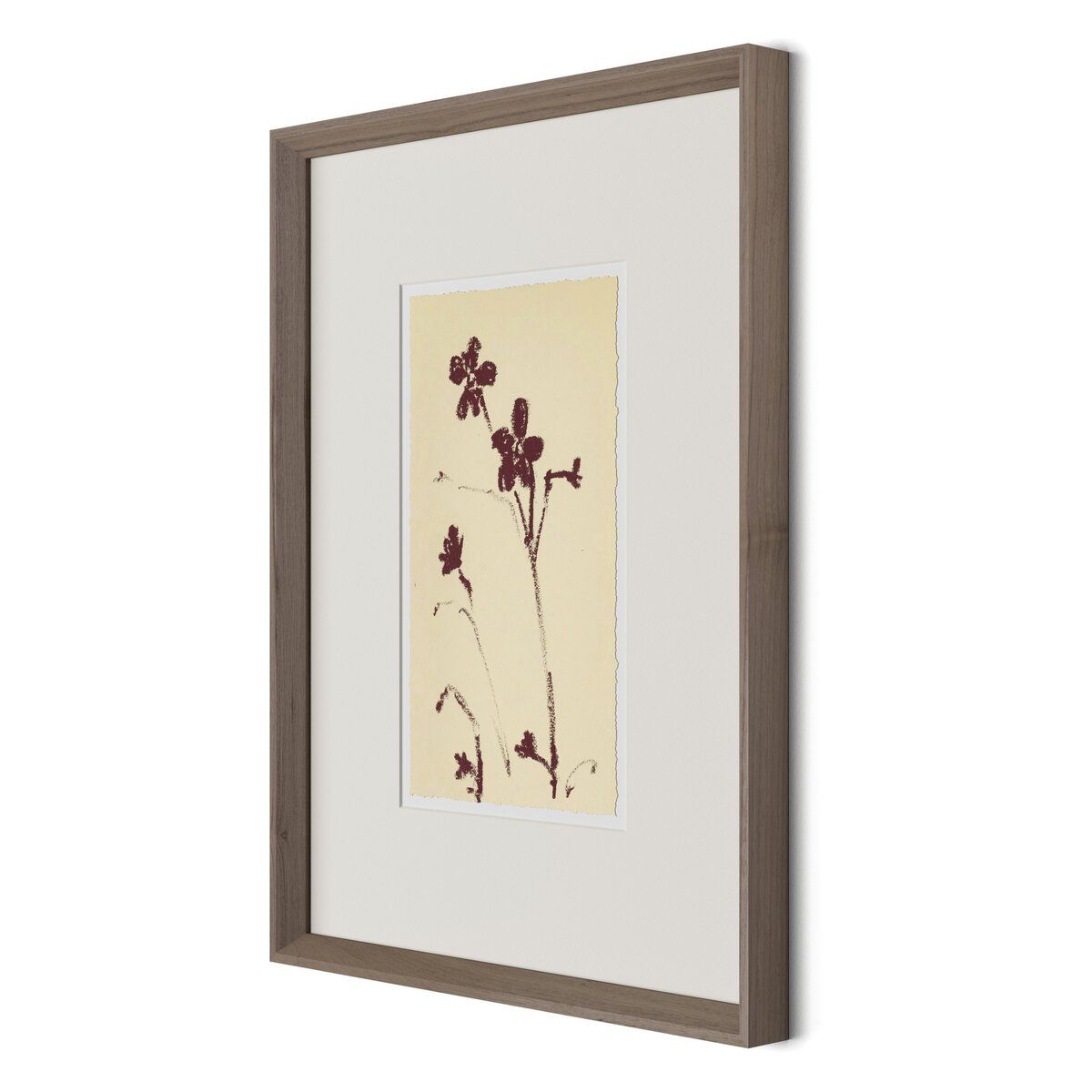 Meadow Rue No.9 By Shaina Page