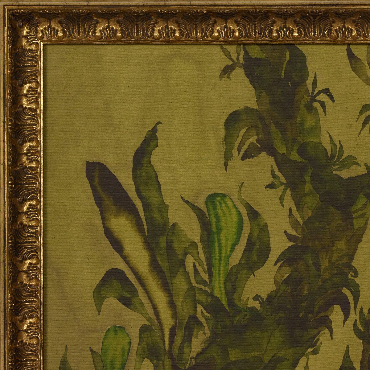 Epiphytes By Molly Franken