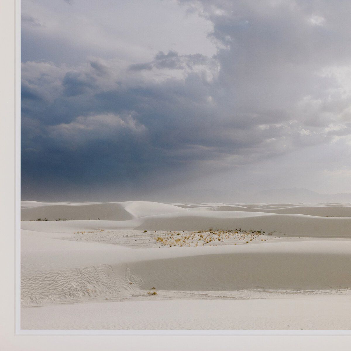 Desert Rain By Wesley And Emma Teague