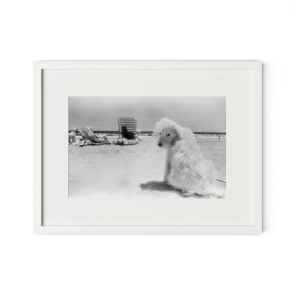 Lois At The Beach By Barbara Alper