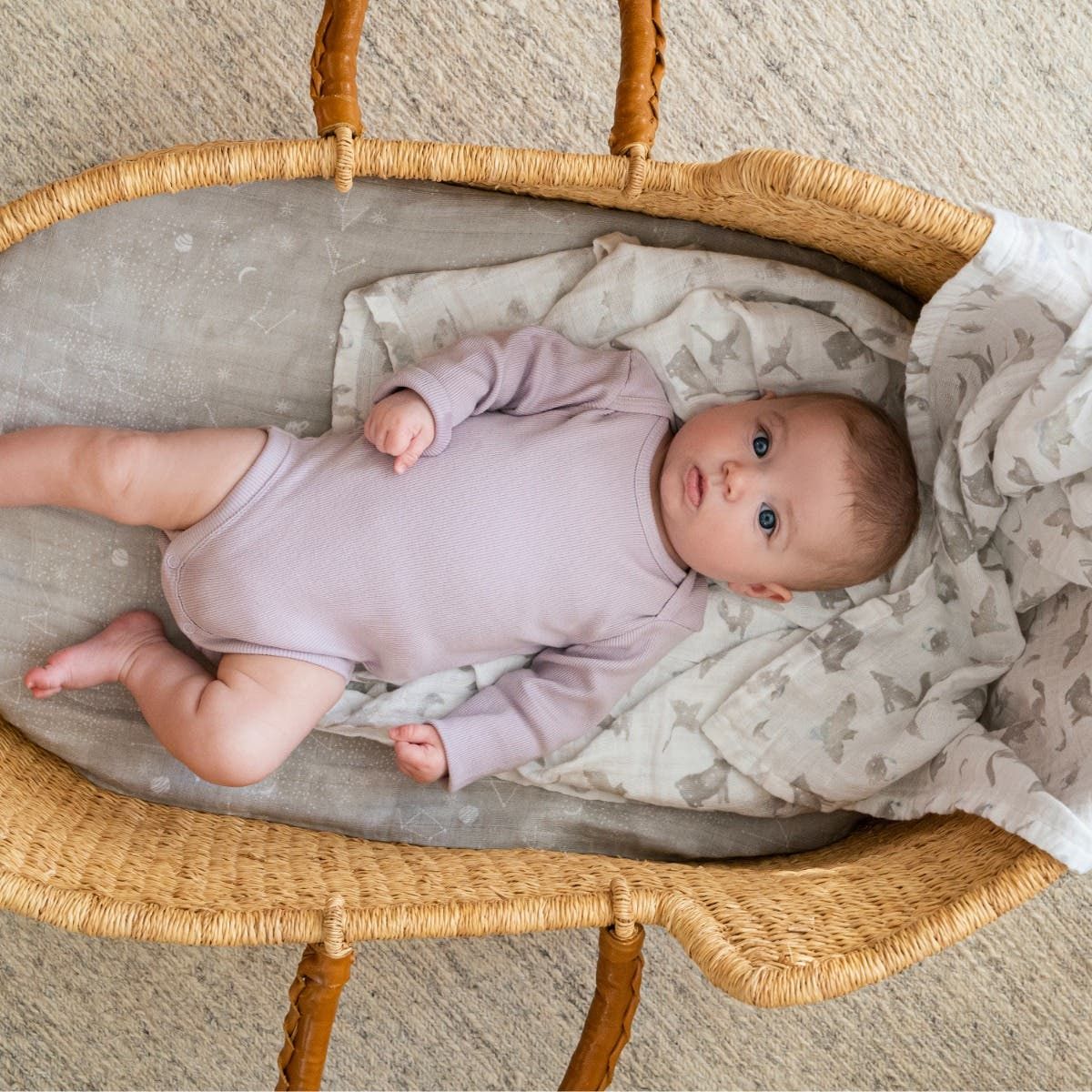 Organic Cotton Muslin Swaddle Blanket 2 Pack