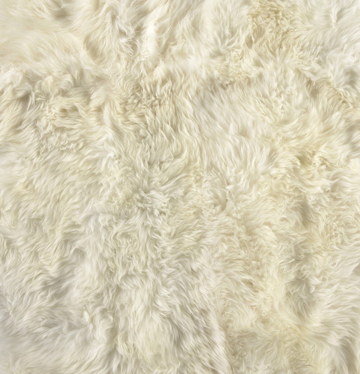 Lalo Lambskin Rug
