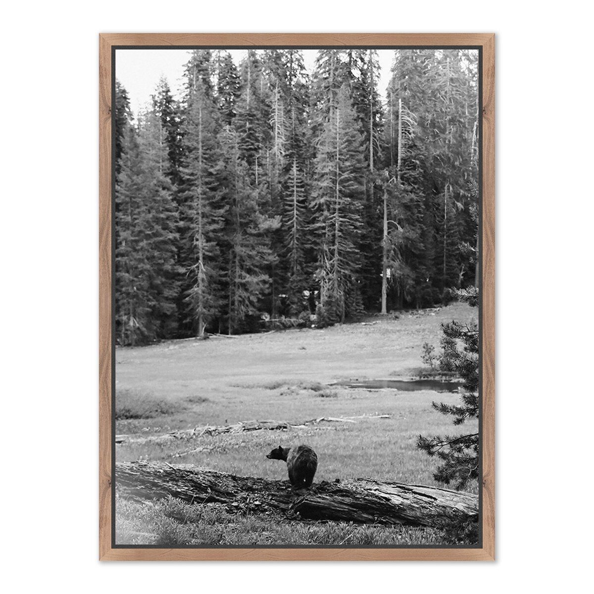 Don't Feed The Bears By Wesley And Emma Teague